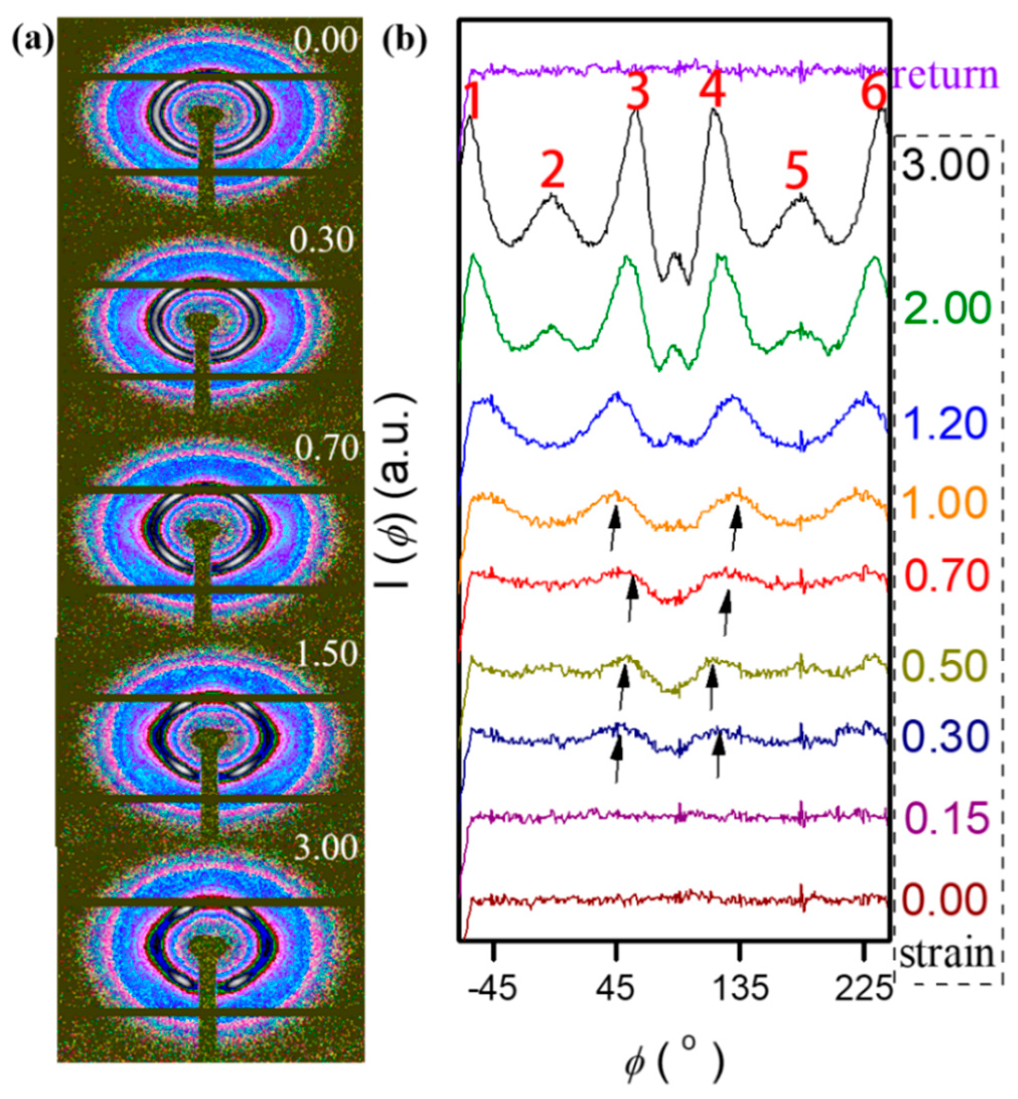 Coatings 14 00562 g005 Coatings 14 00562 g005