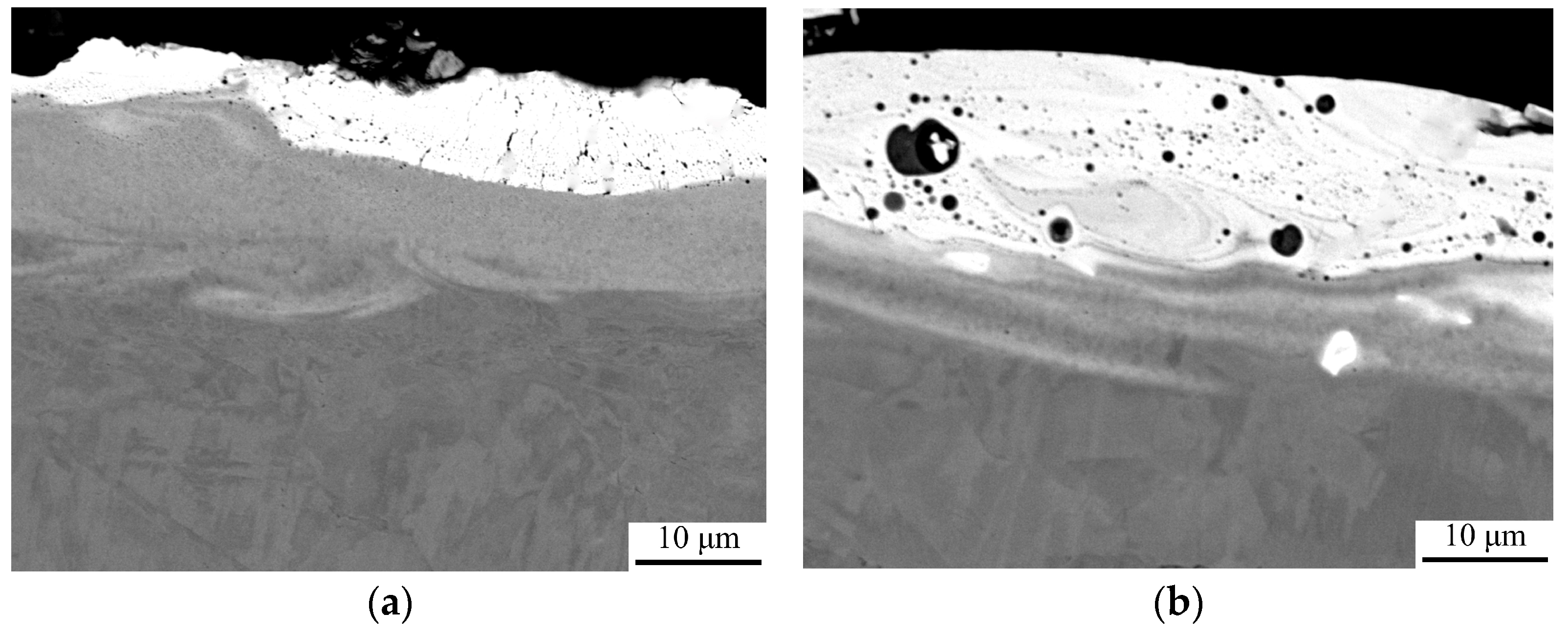 Coatings 14 00563 g005 Coatings 14 00563 g005