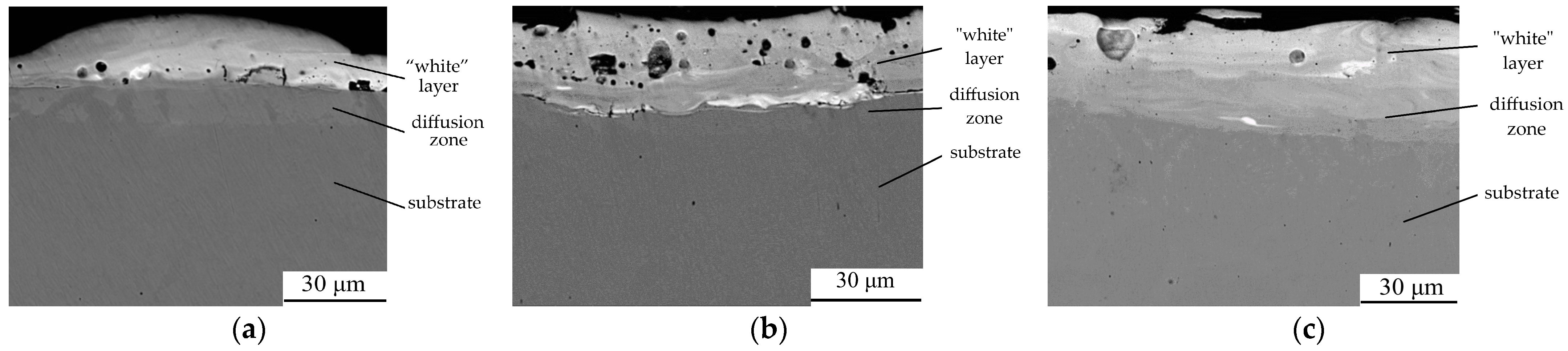 Coatings 14 00563 g008 Coatings 14 00563 g008