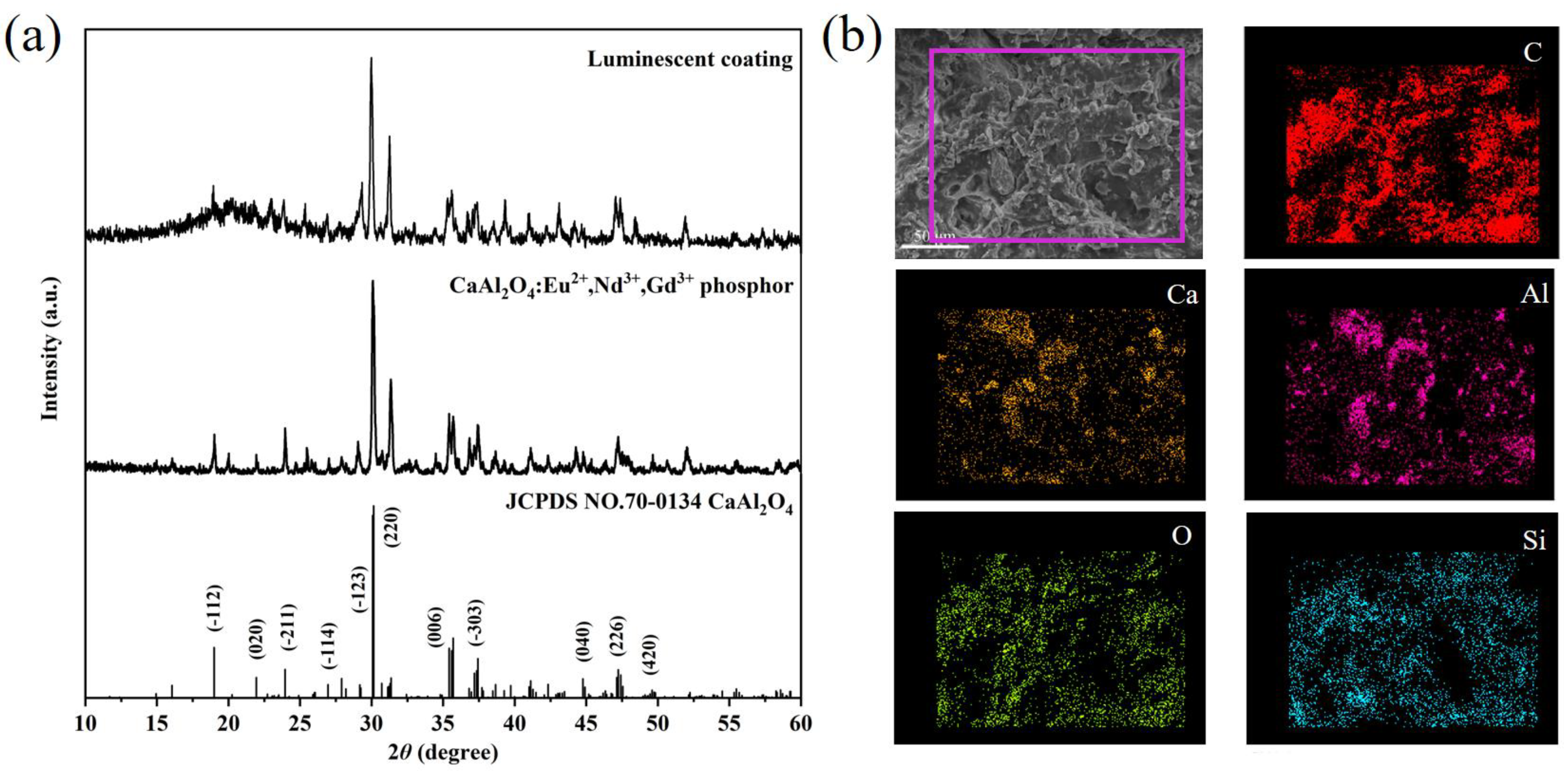 Coatings 14 00566 g004