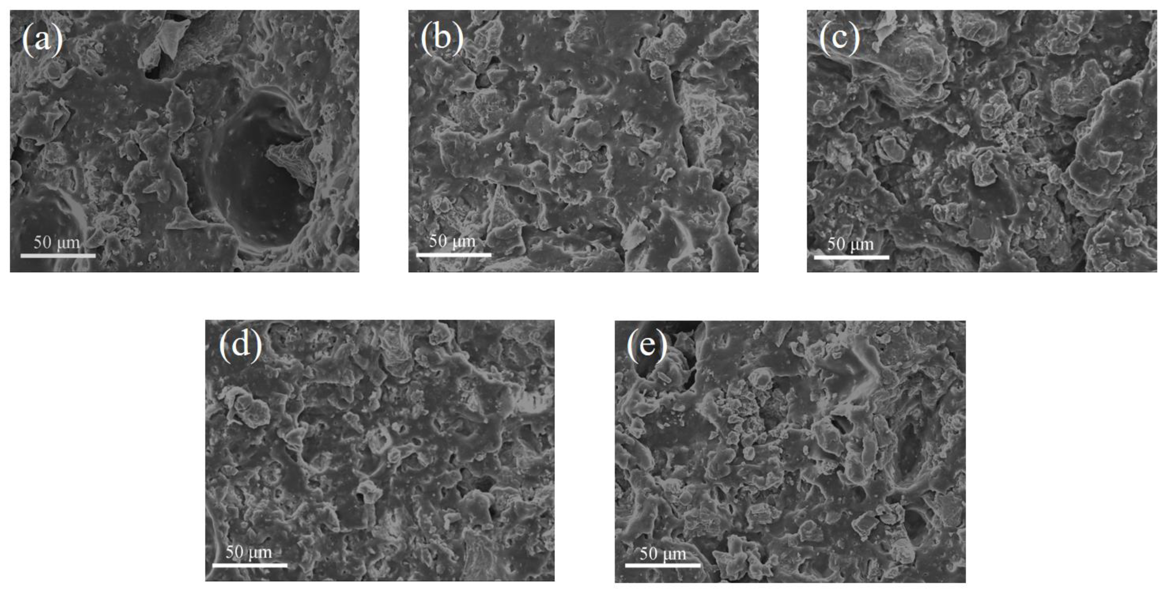 Coatings 14 00566 g005