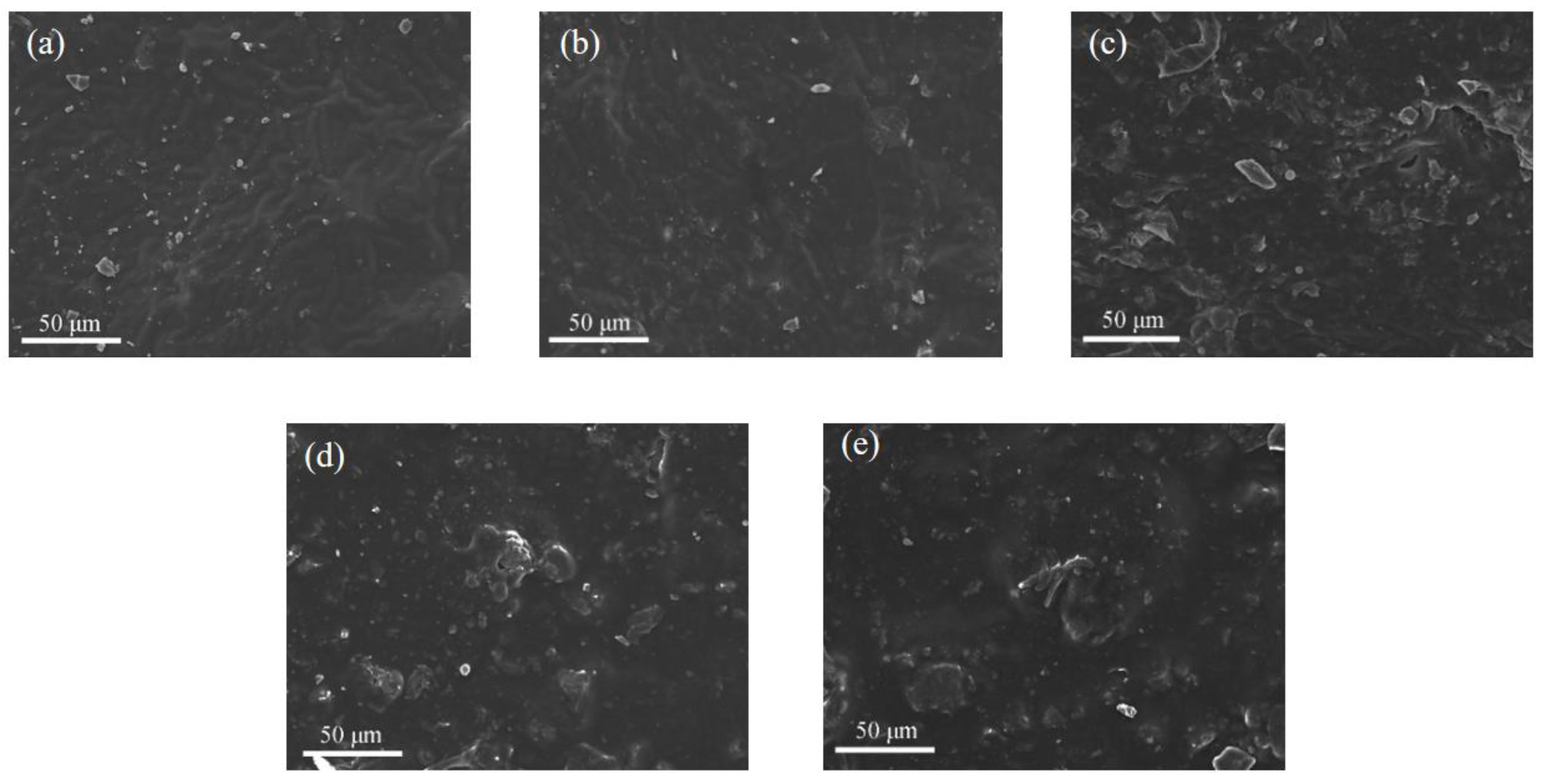 Coatings 14 00566 g008