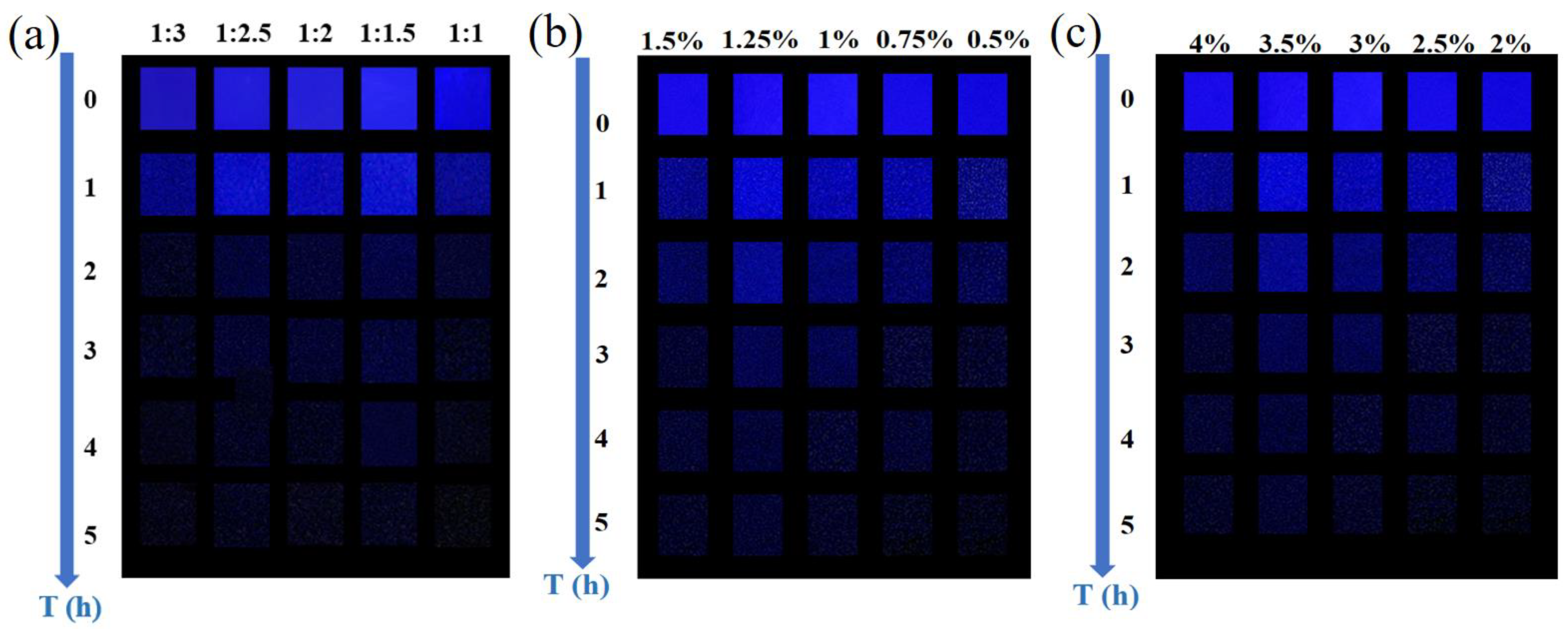 Coatings 14 00566 g010