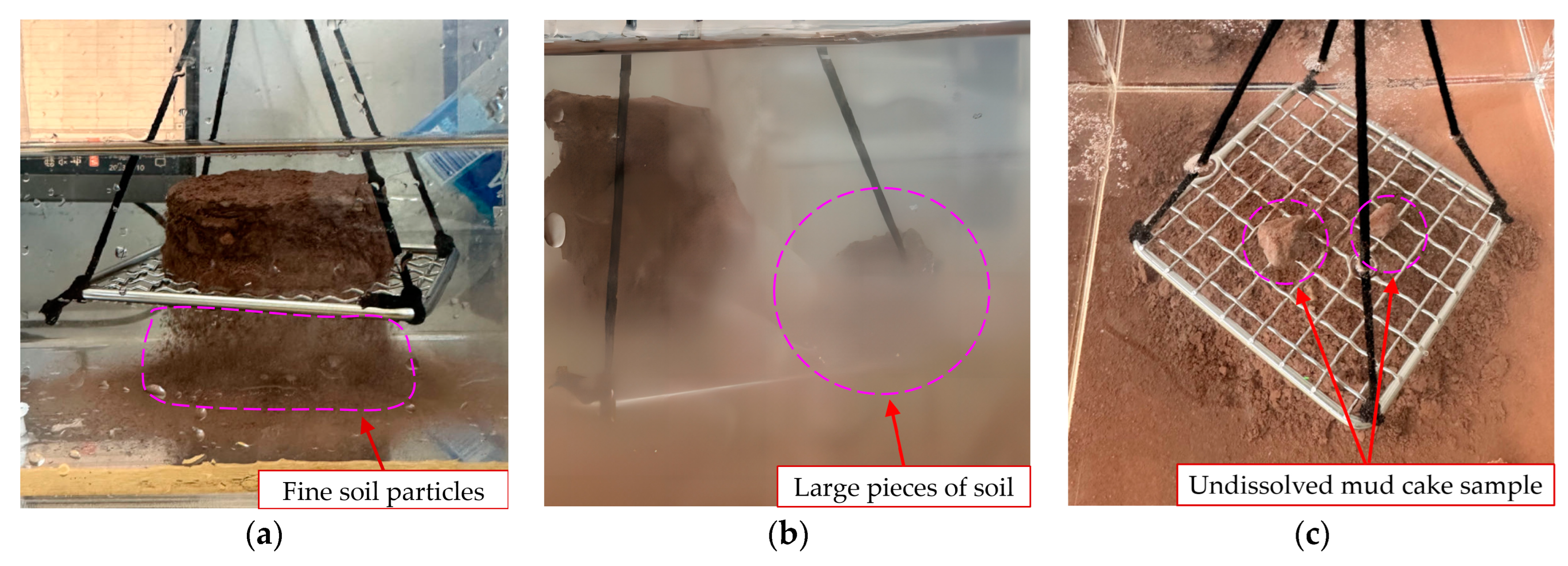 Coatings 14 00567 g010