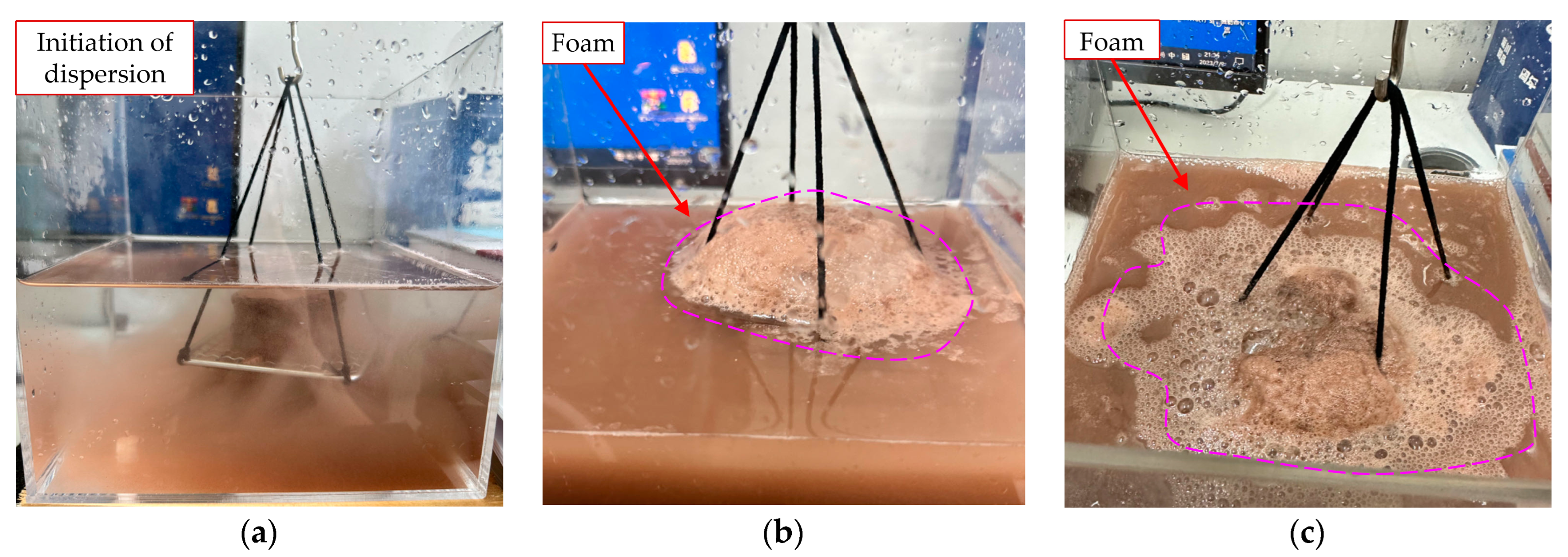 Coatings 14 00567 g016