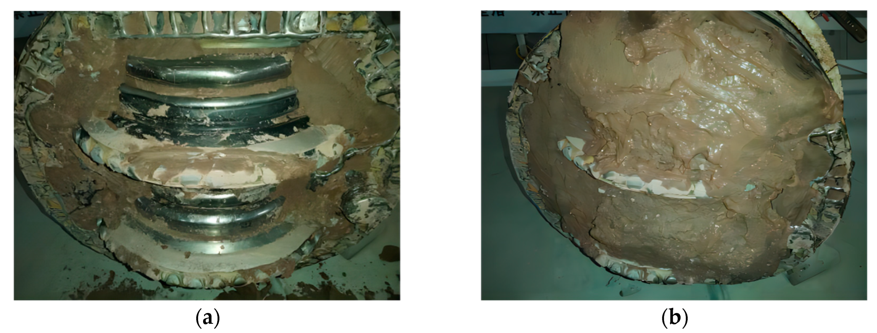 Coatings 14 00567 g019