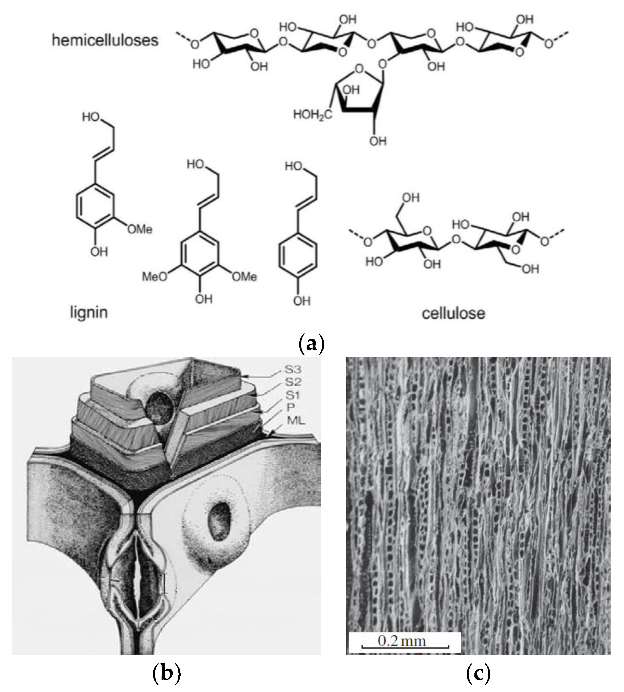 Coatings 14 00569 g001 Coatings 14 00569 g001