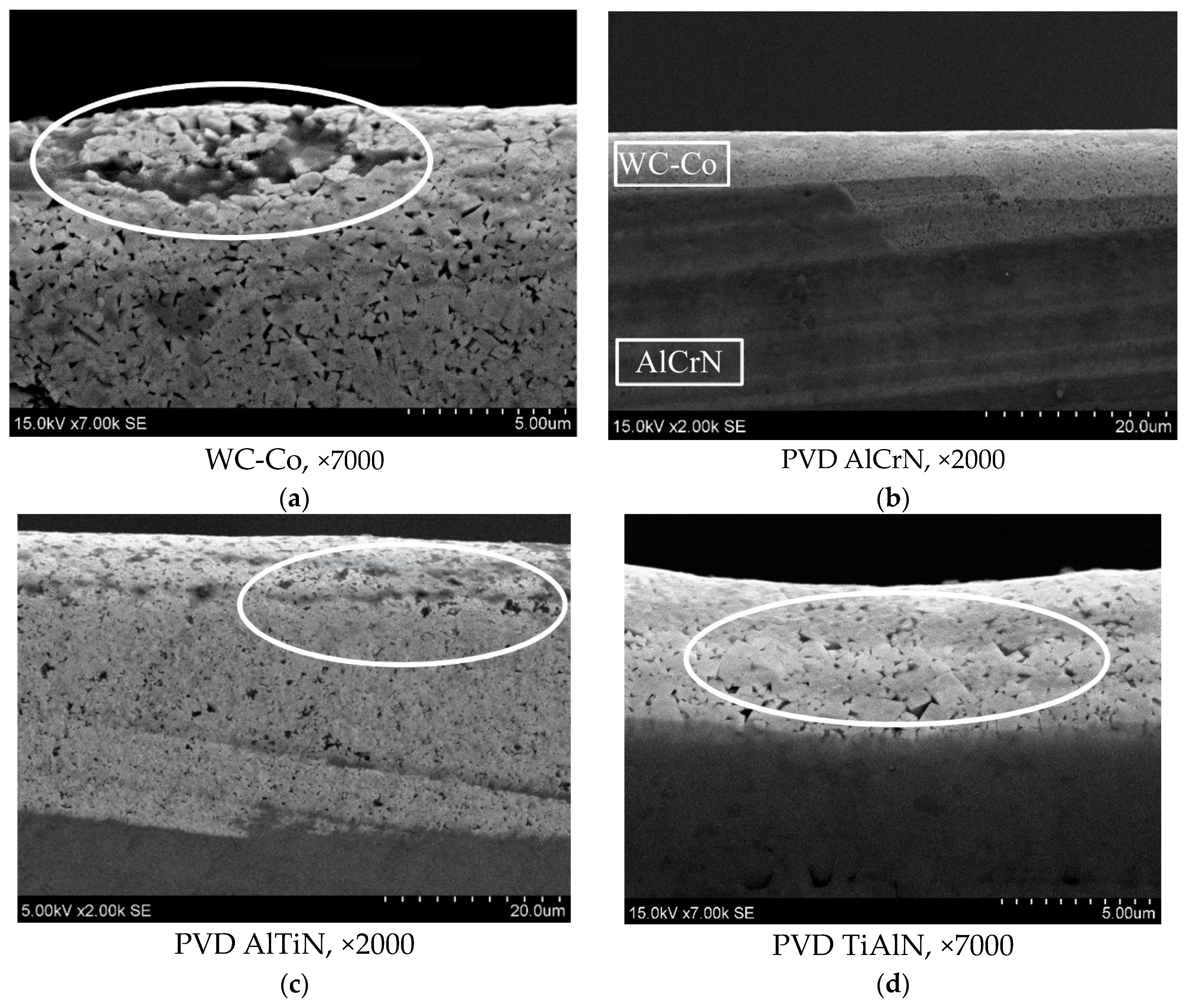 Coatings 14 00569 g006a Coatings 14 00569 g006a