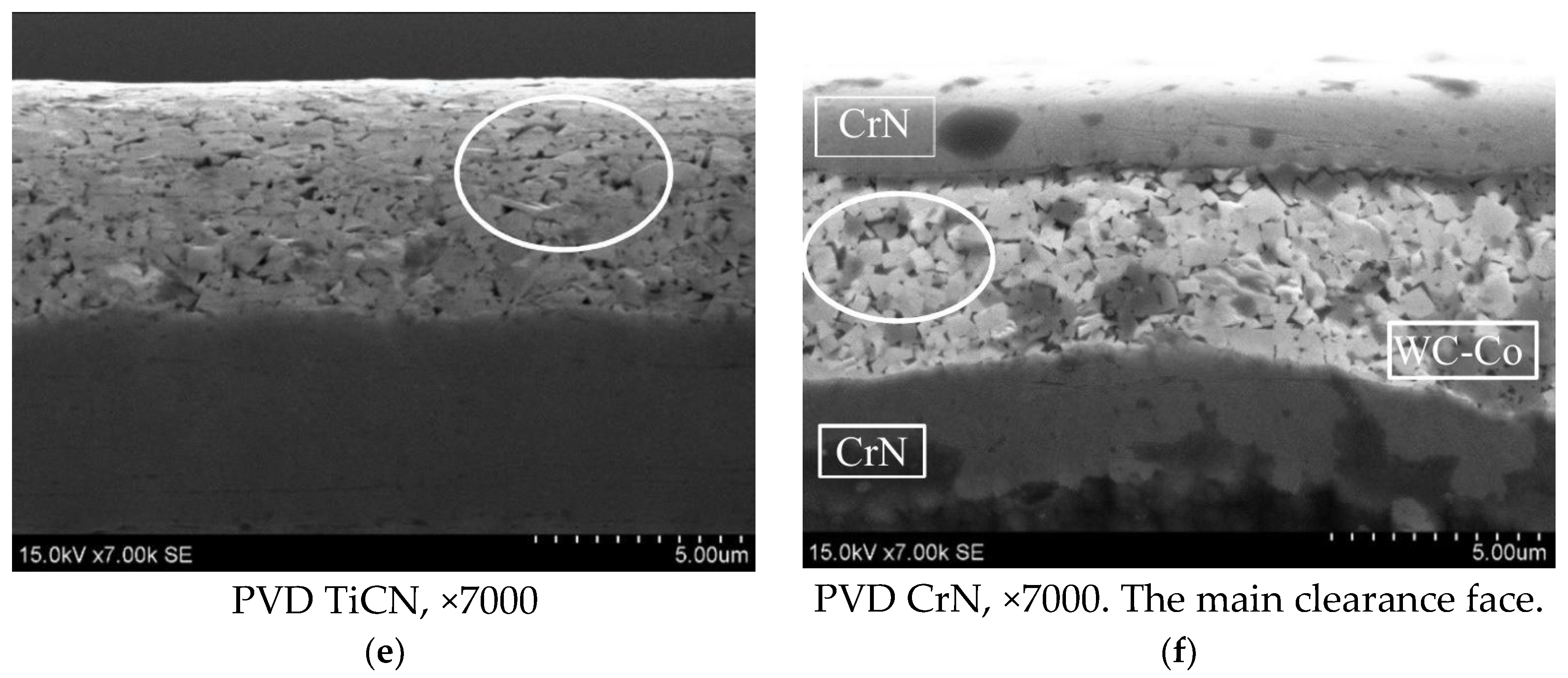 Coatings 14 00569 g006b Coatings 14 00569 g006b