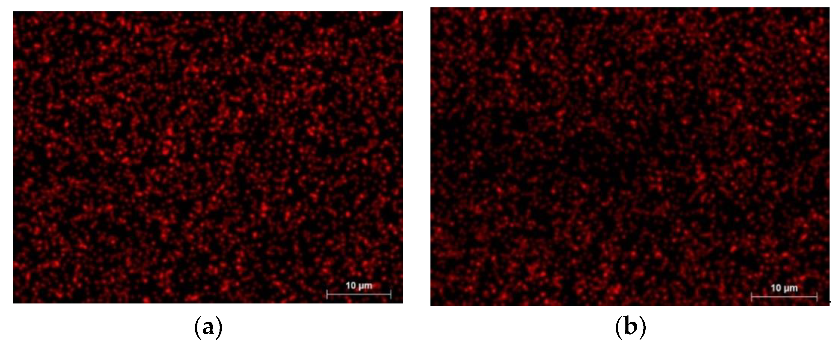 Coatings 14 00569 g007 Coatings 14 00569 g007