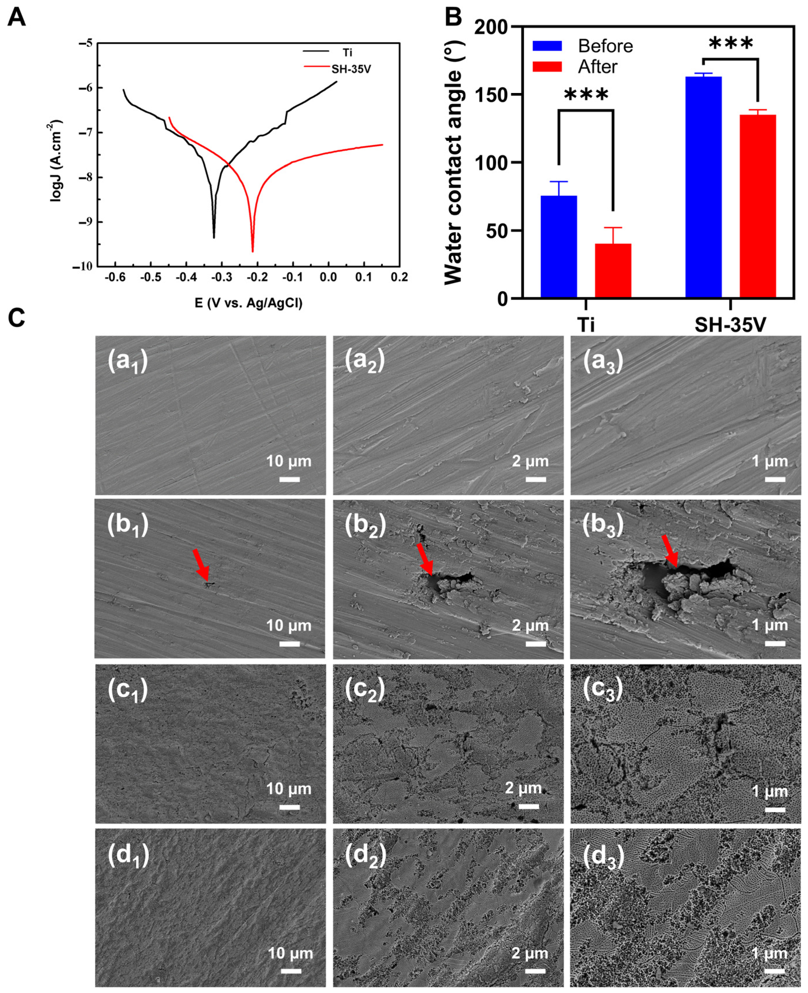 Coatings 14 00571 g012