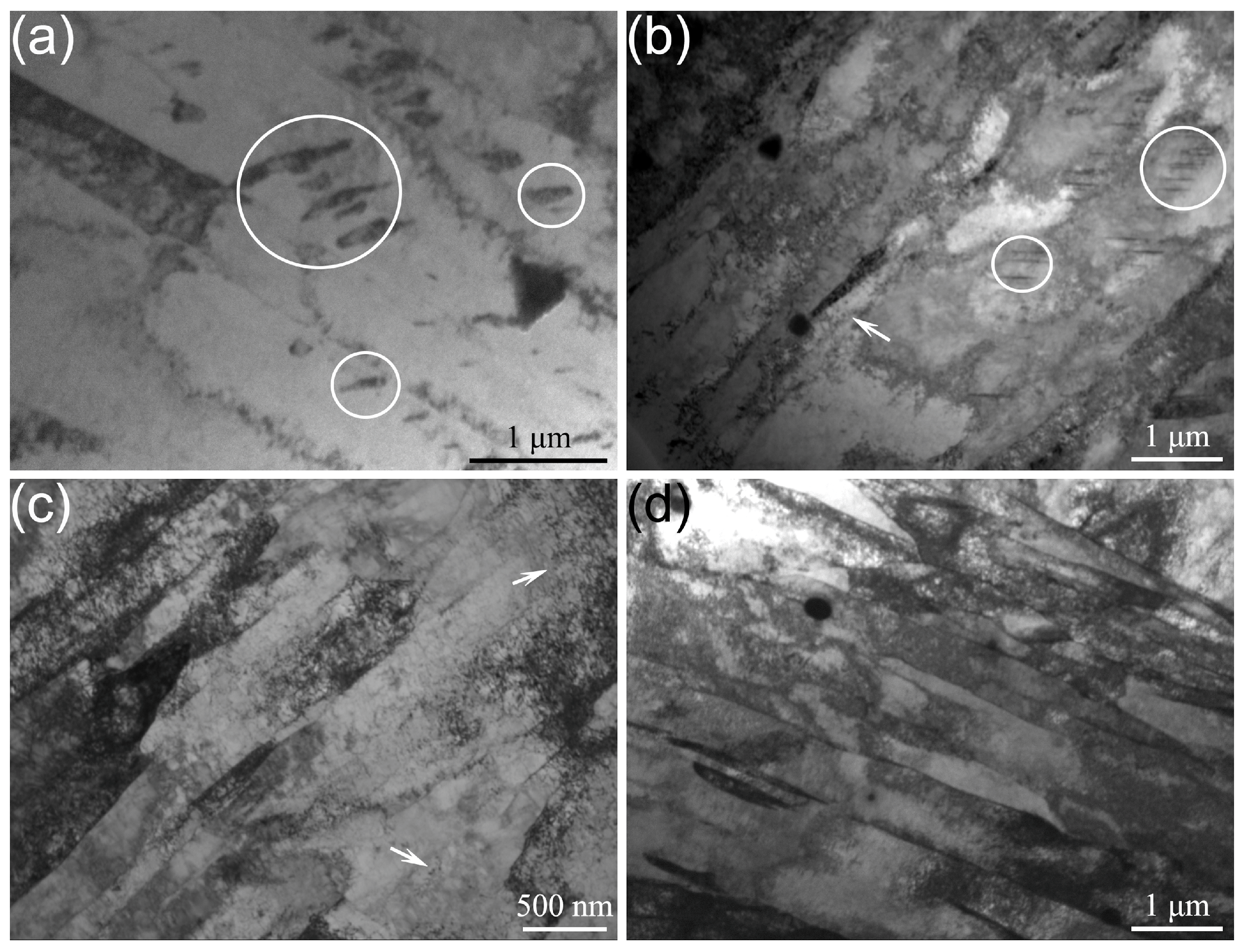 Coatings 14 00572 g003 Coatings 14 00572 g003