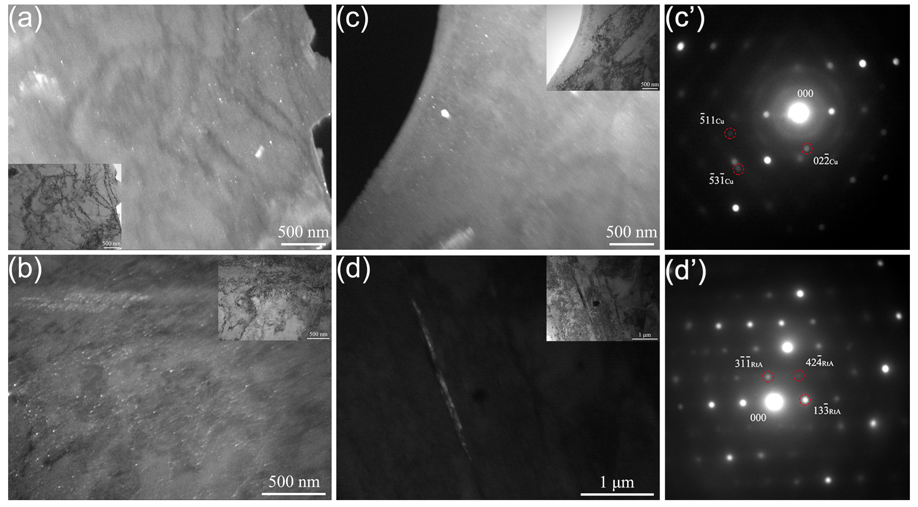 Coatings 14 00572 g005 Coatings 14 00572 g005