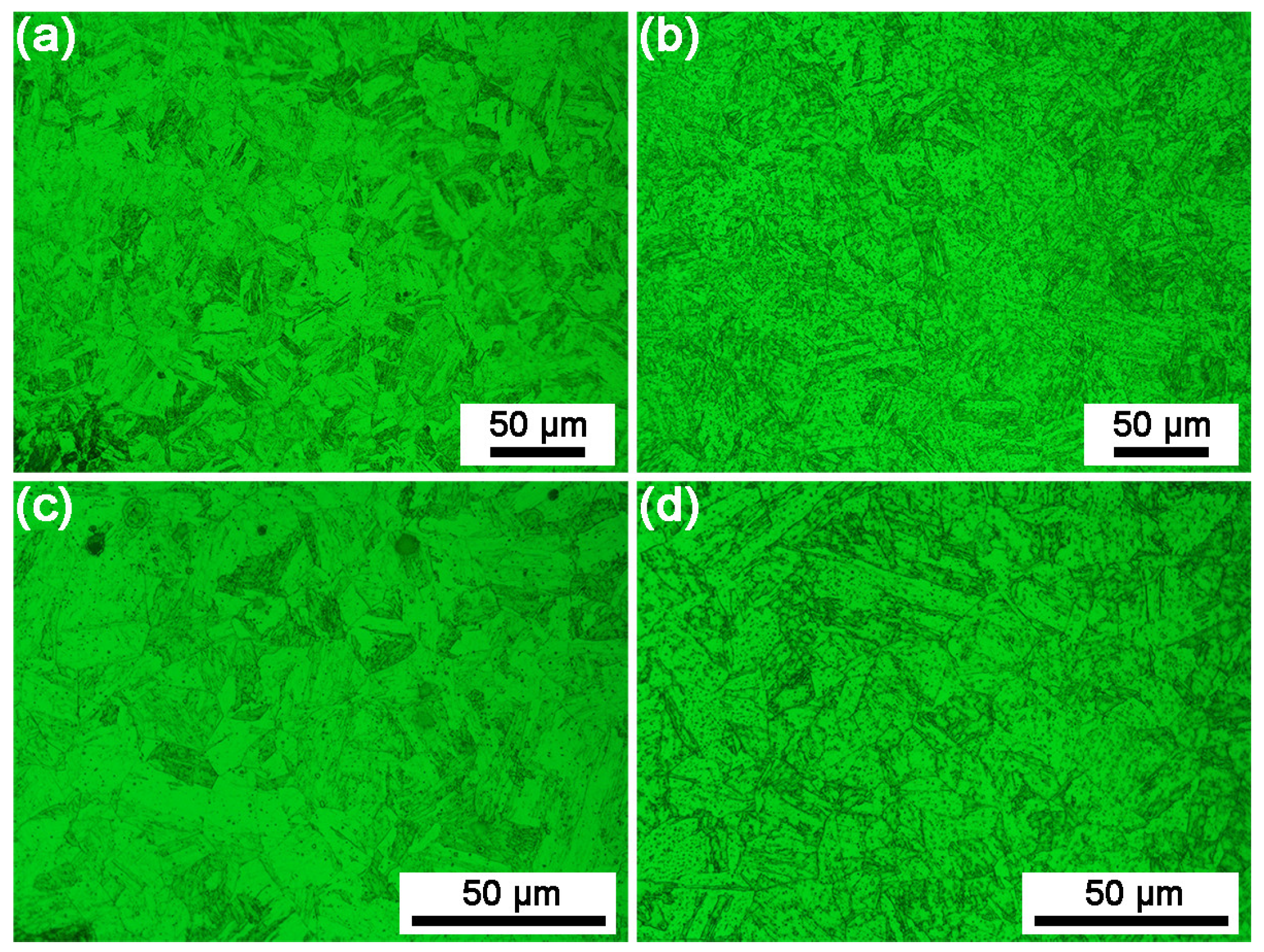 Coatings 14 00572 g007 Coatings 14 00572 g007