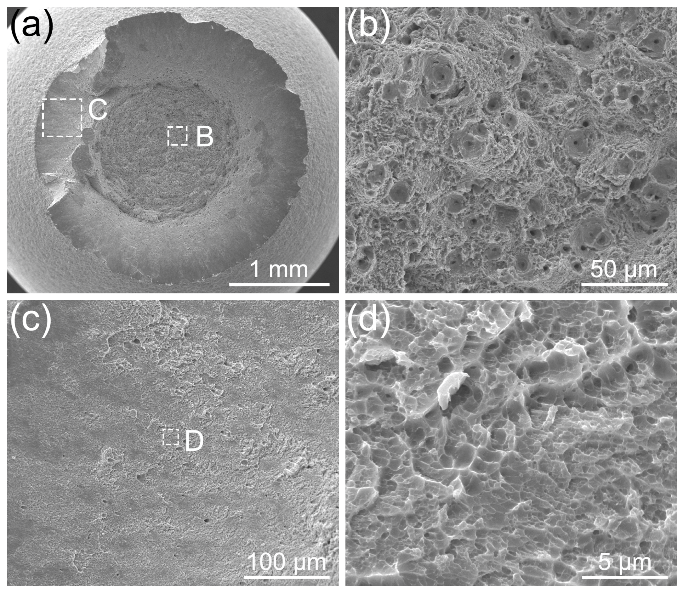 Coatings 14 00572 g013 Coatings 14 00572 g013
