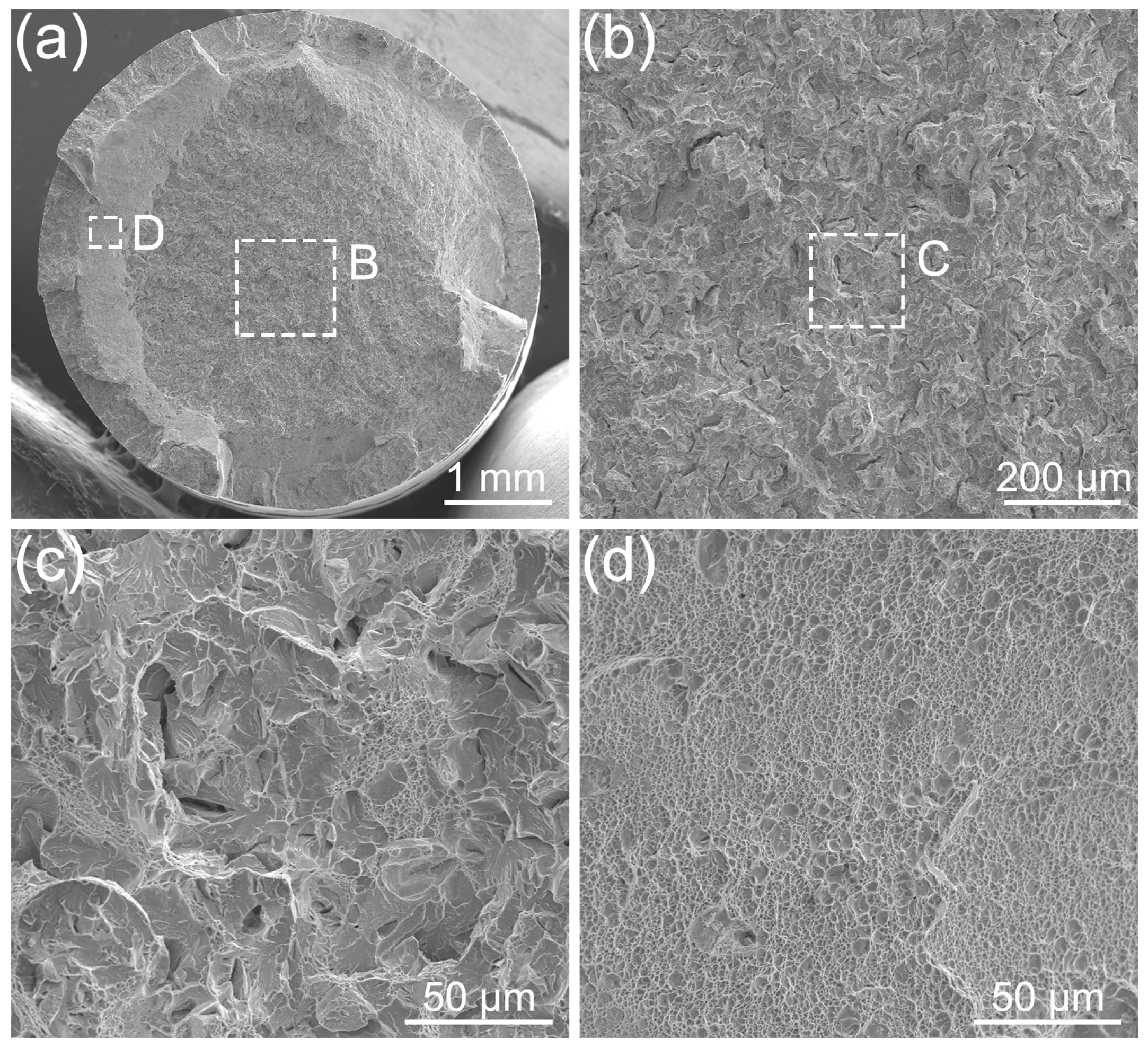 Coatings 14 00572 g014 Coatings 14 00572 g014