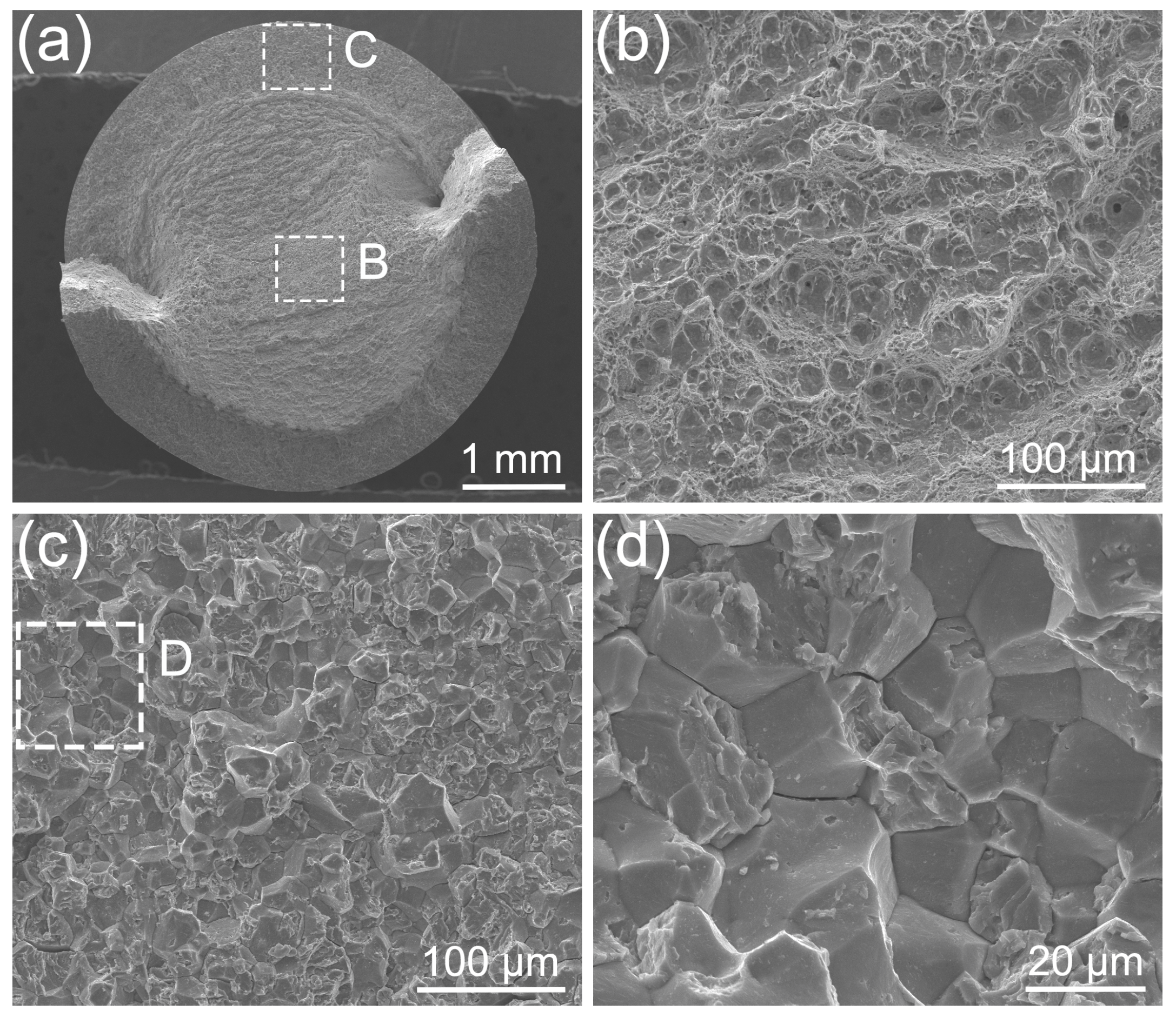 Coatings 14 00572 g015 Coatings 14 00572 g015
