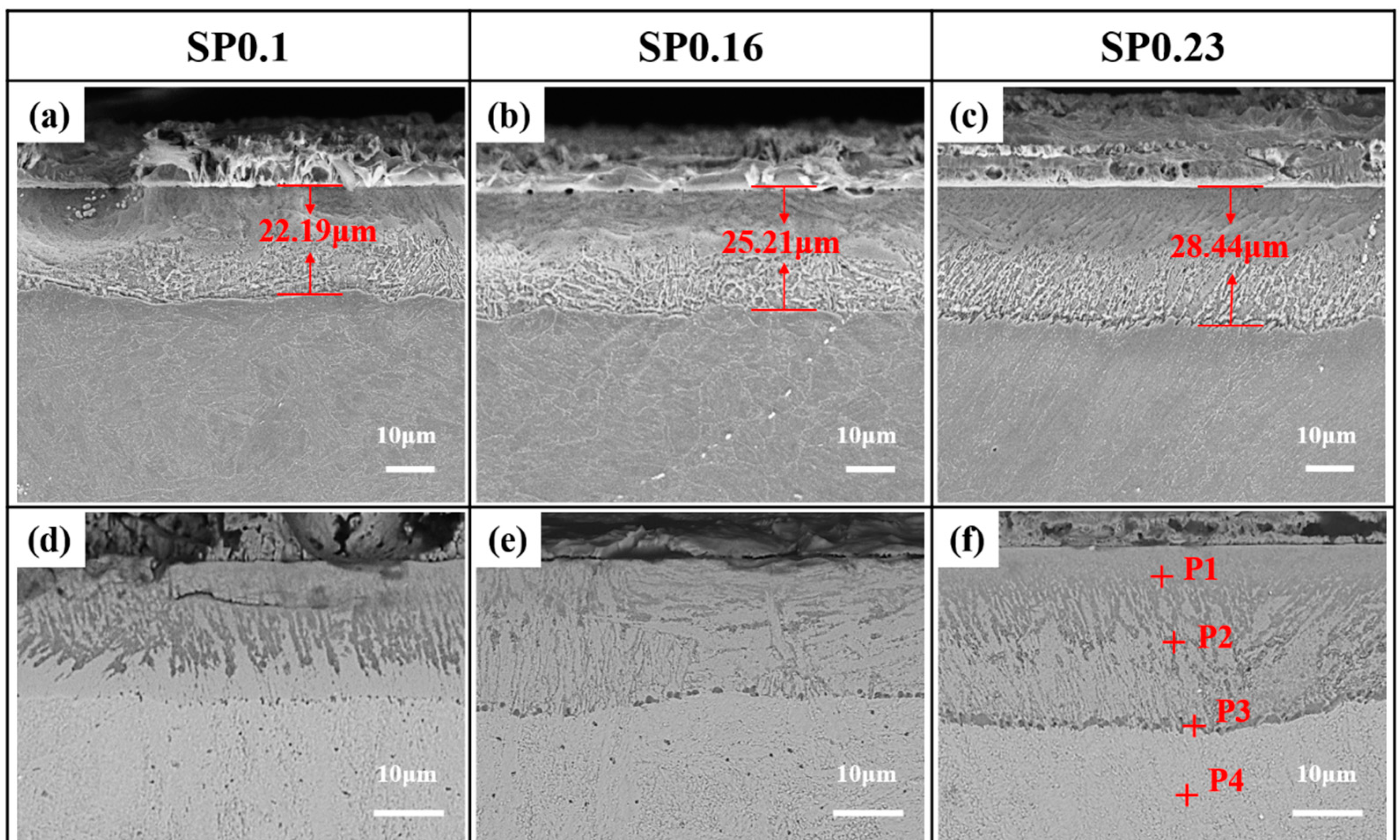 Coatings 14 00575 g002