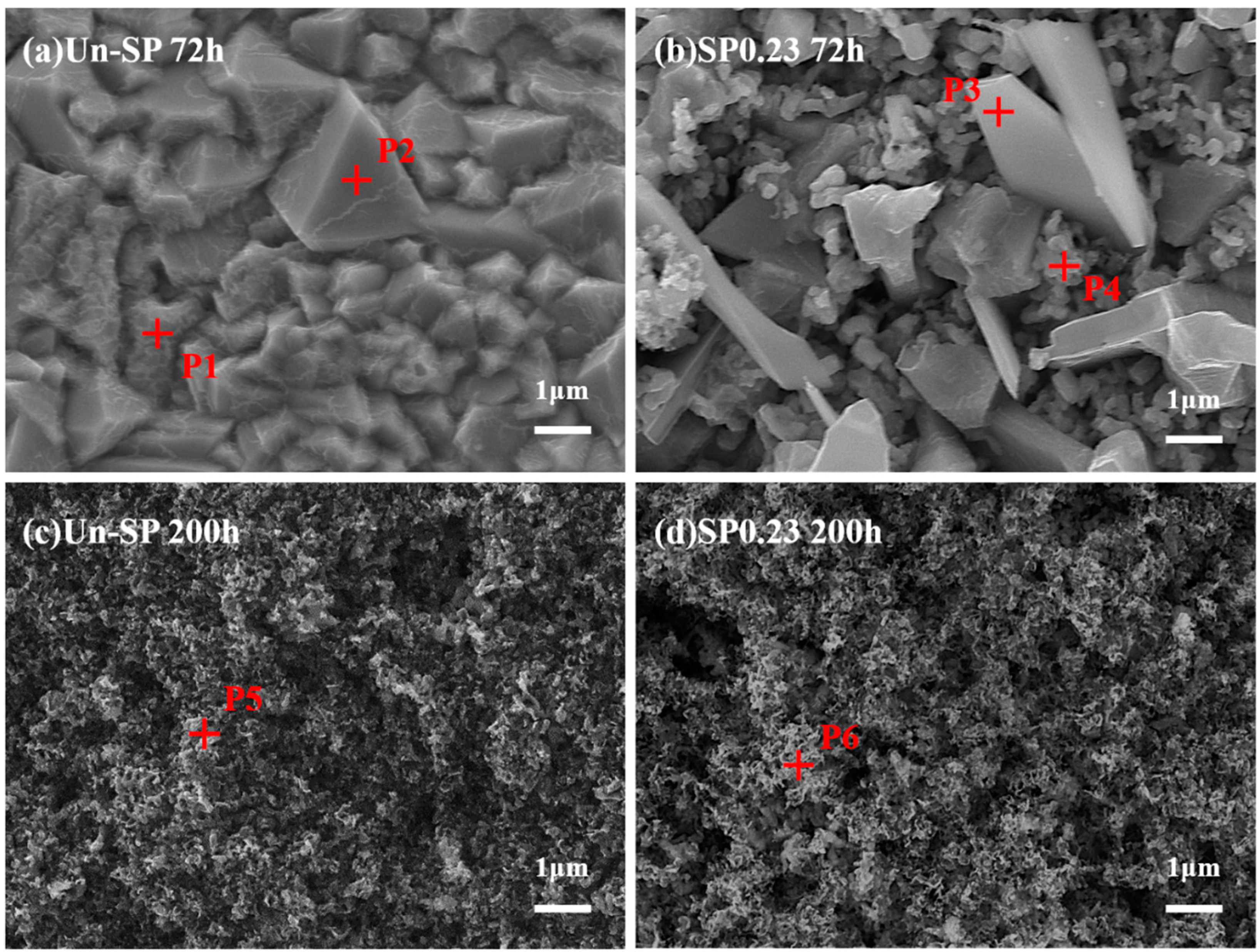 Coatings 14 00575 g006