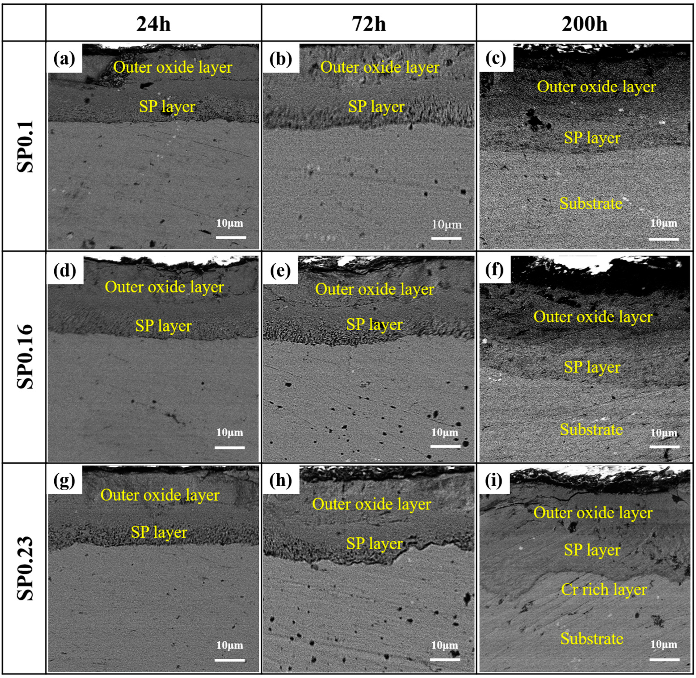 Coatings 14 00575 g009
