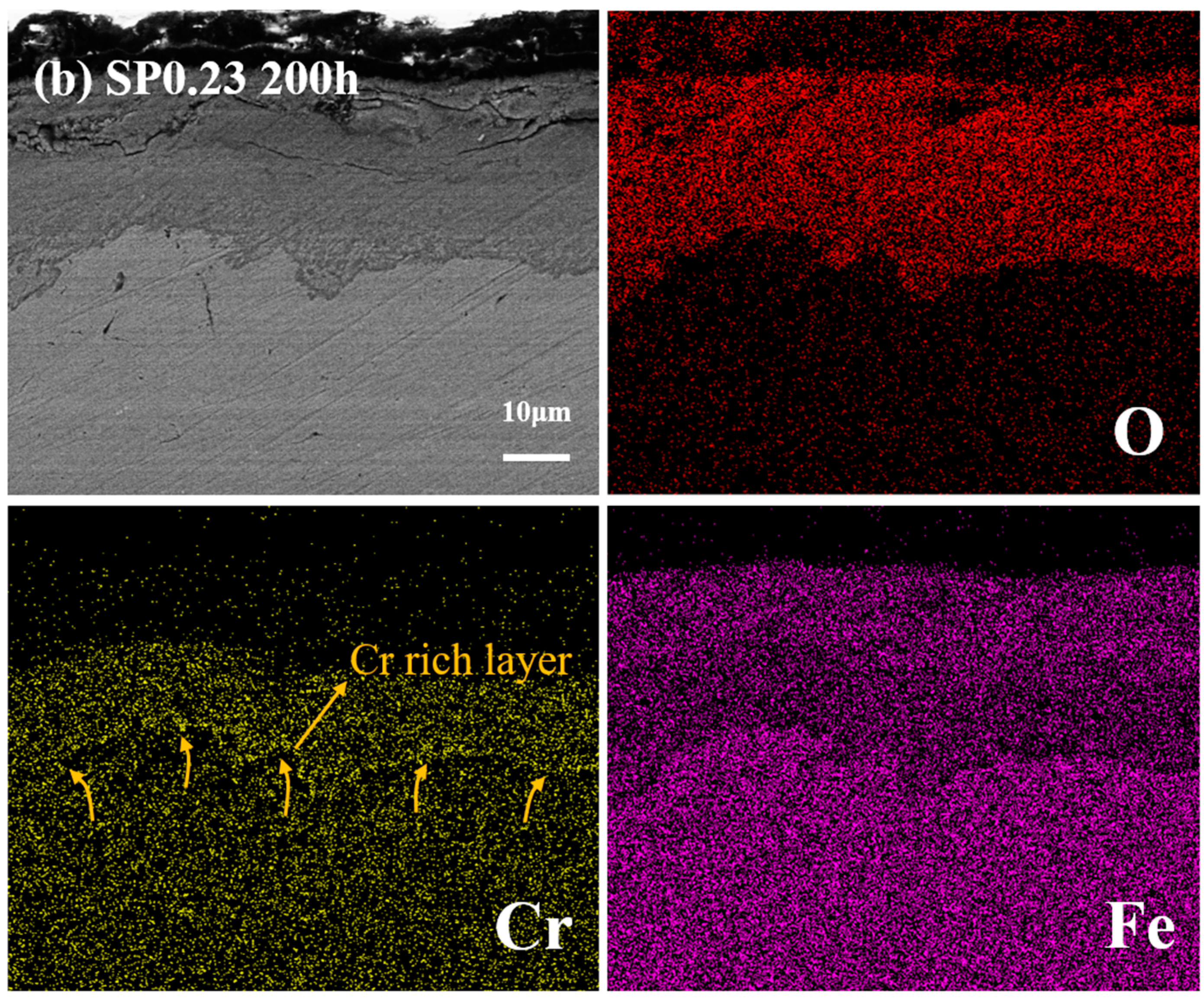 Coatings 14 00575 g010b