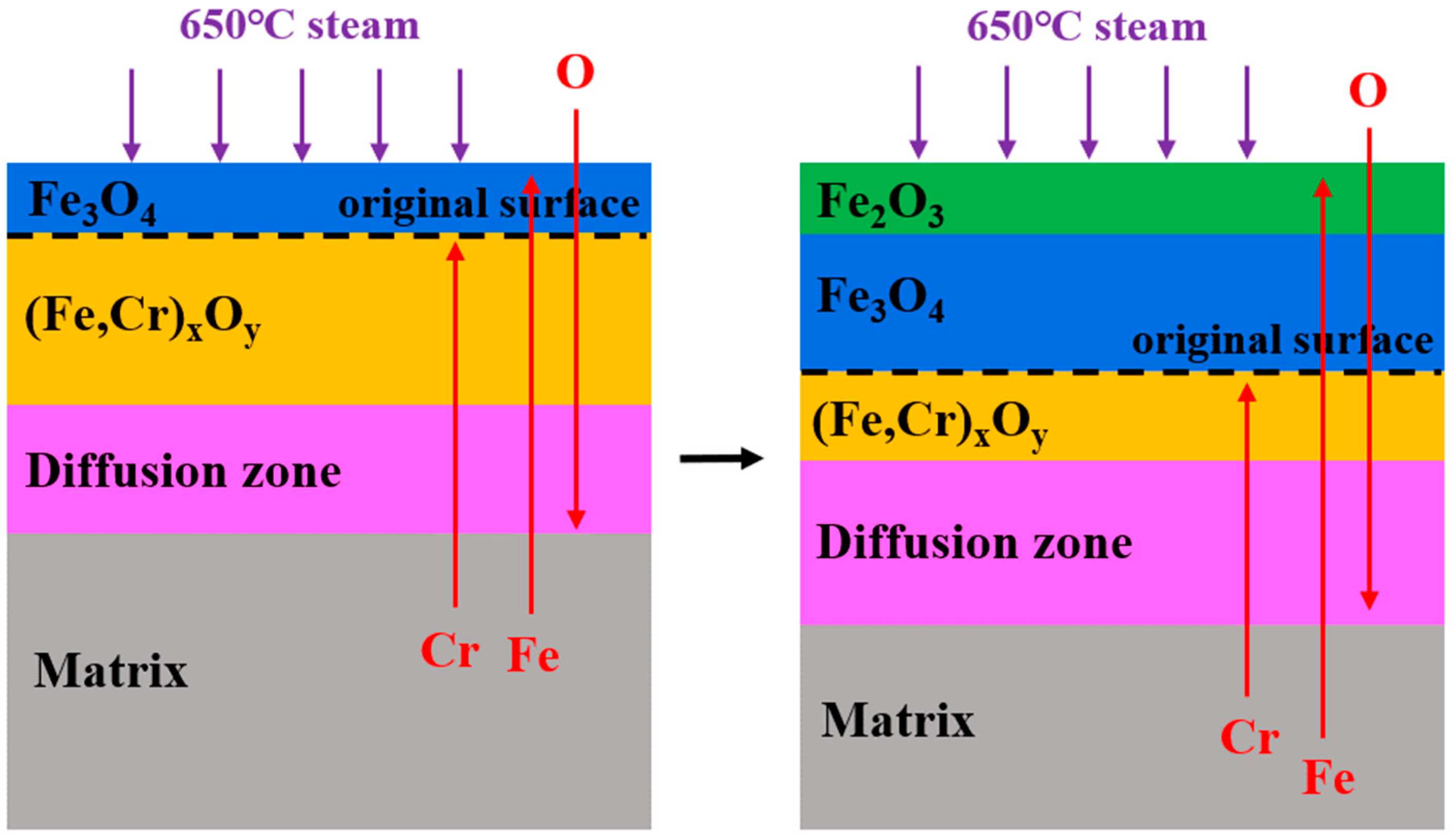 Coatings 14 00575 g014