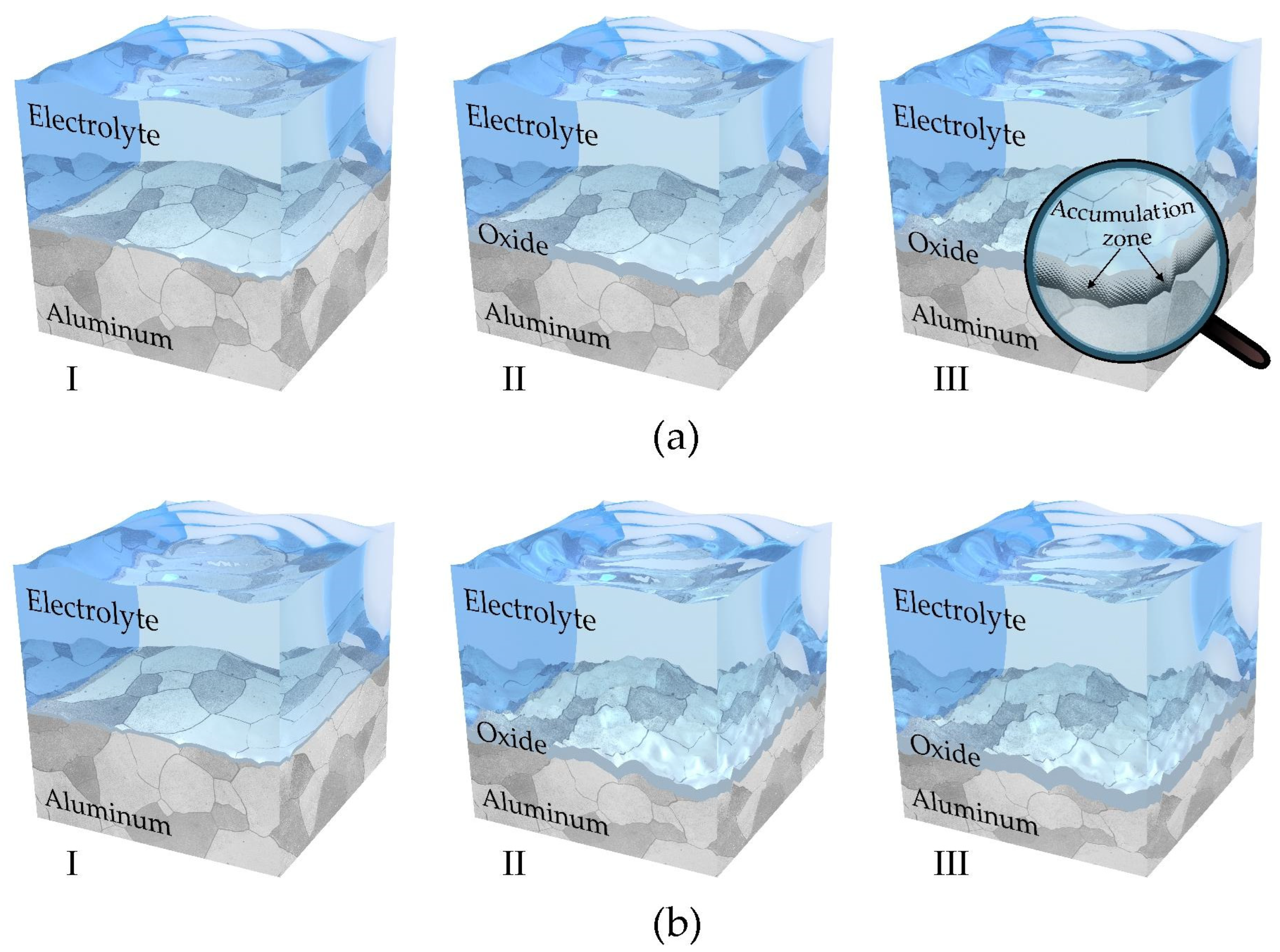 Coatings 14 00576 g008