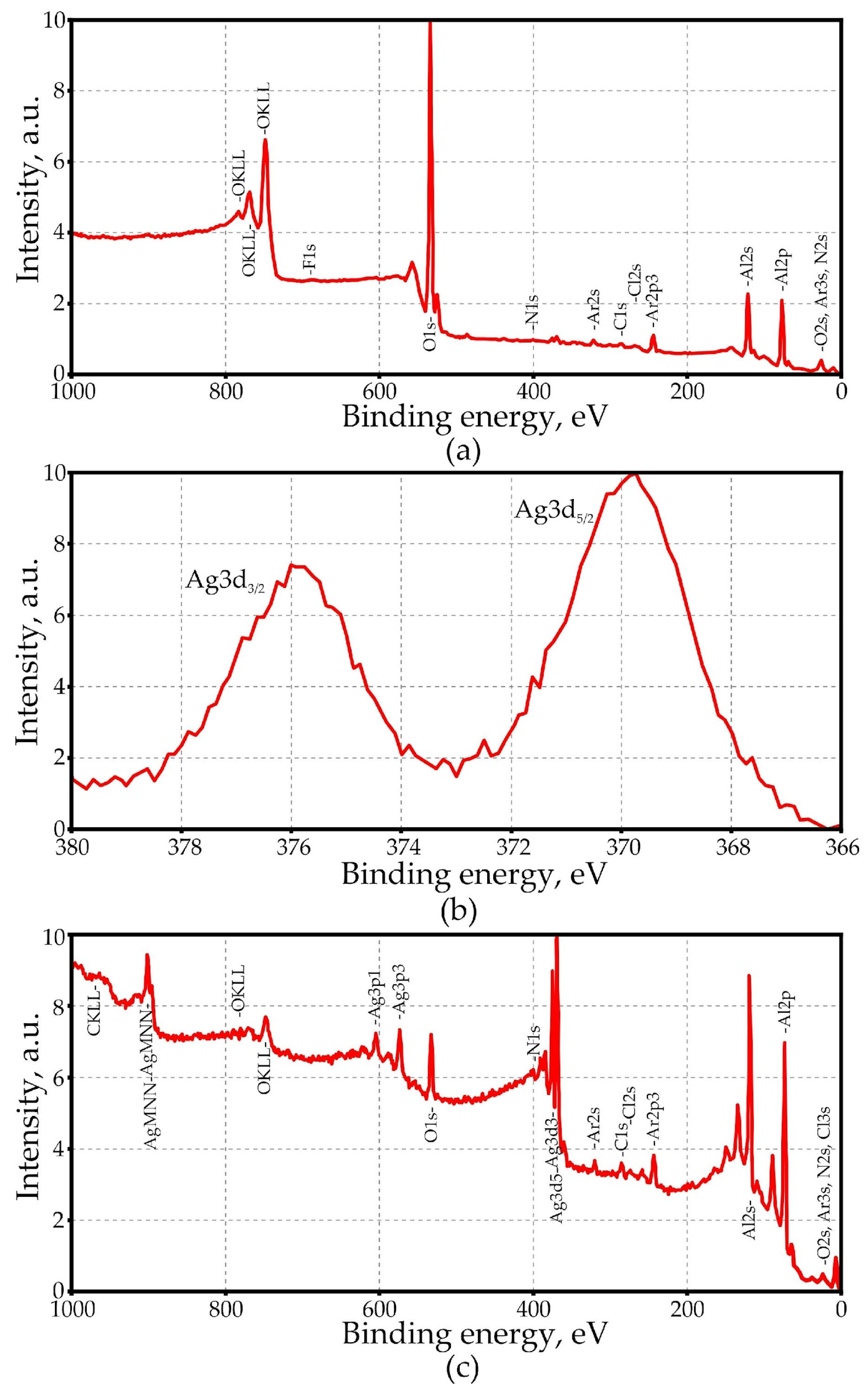 Coatings 14 00576 g013