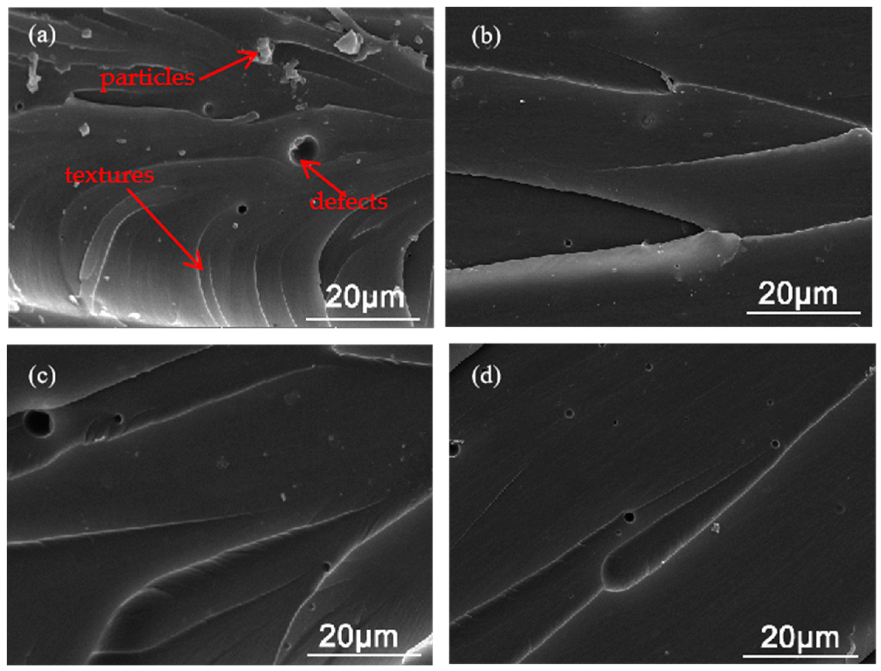 Coatings 14 00577 g005