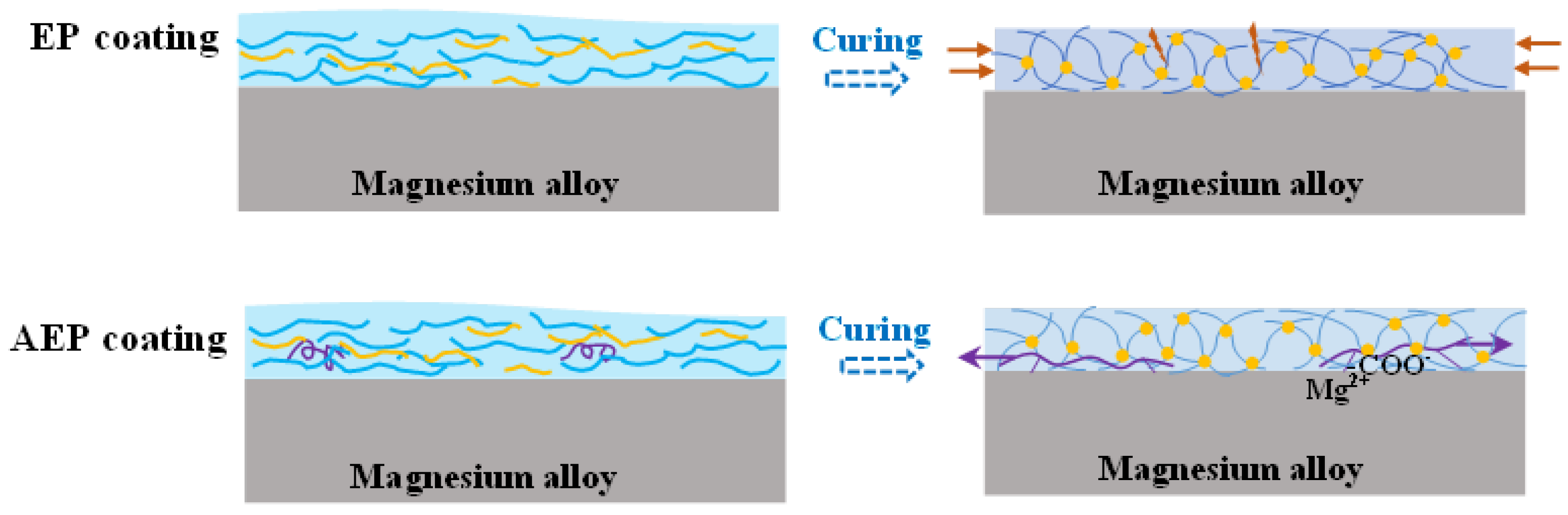 Coatings 14 00577 g012