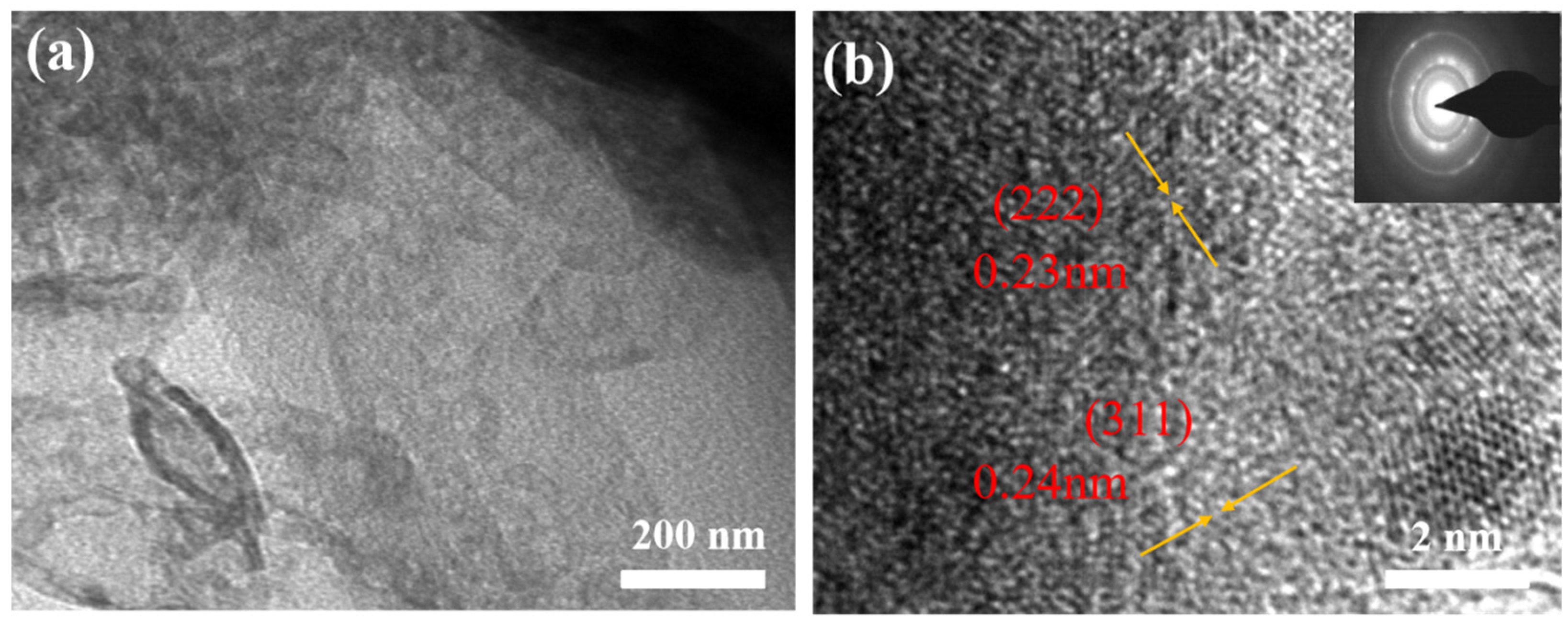 Coatings 14 00584 g003