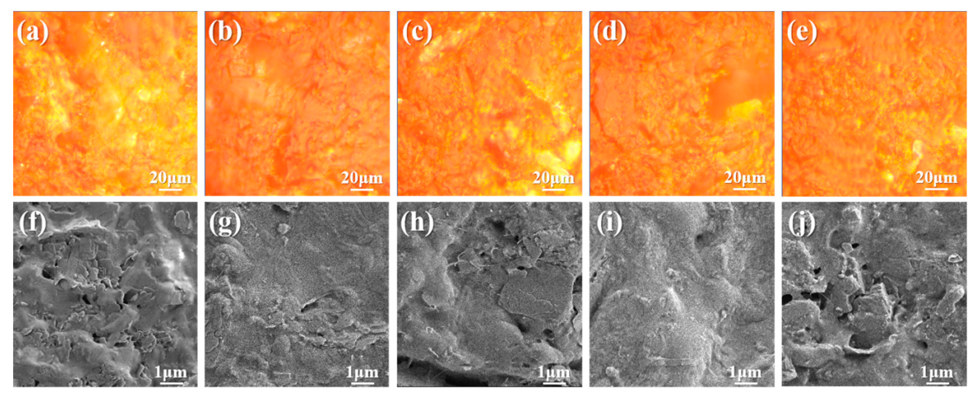 Coatings 14 00586 g002