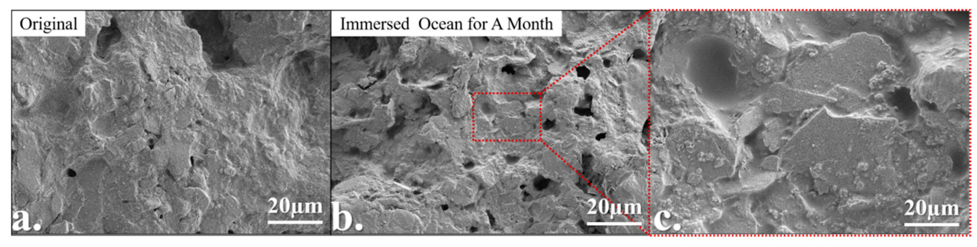 Coatings 14 00586 g010