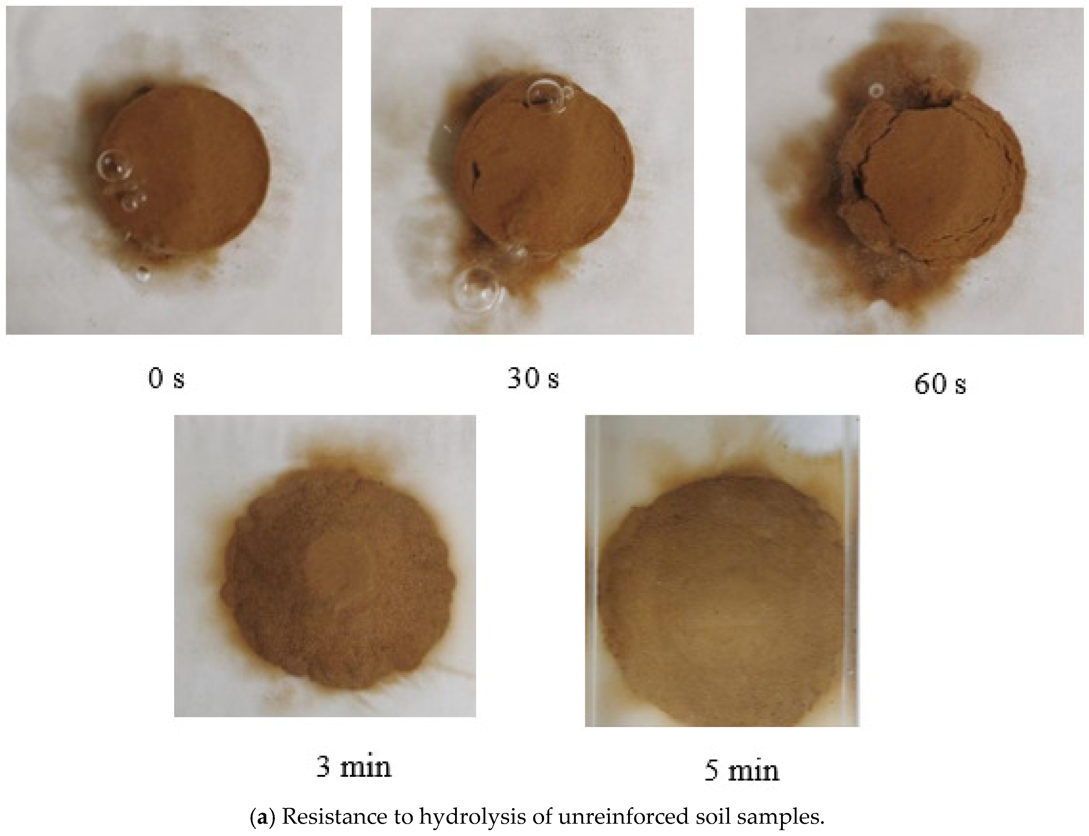 Coatings 14 00587 g006a