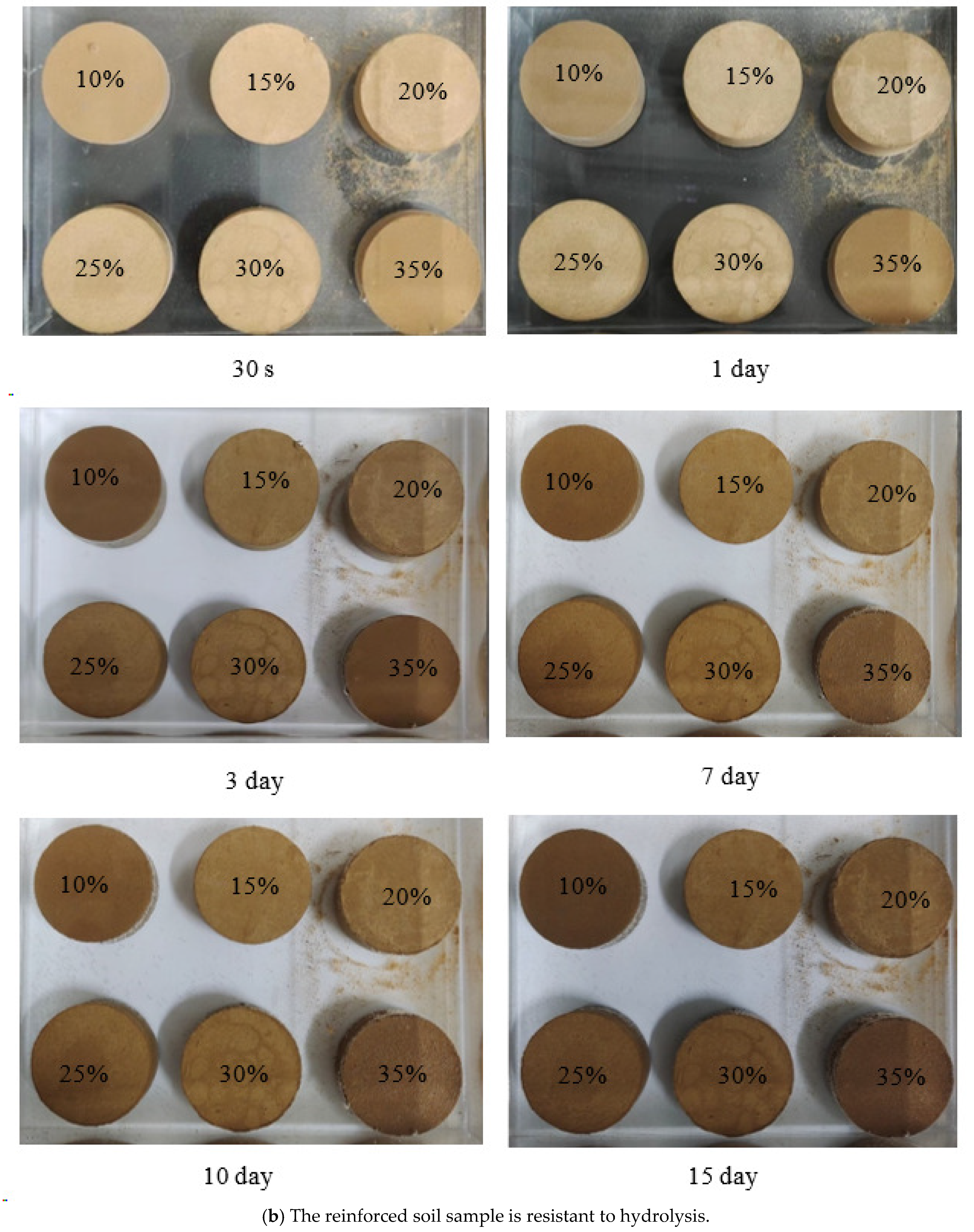 Coatings 14 00587 g006b