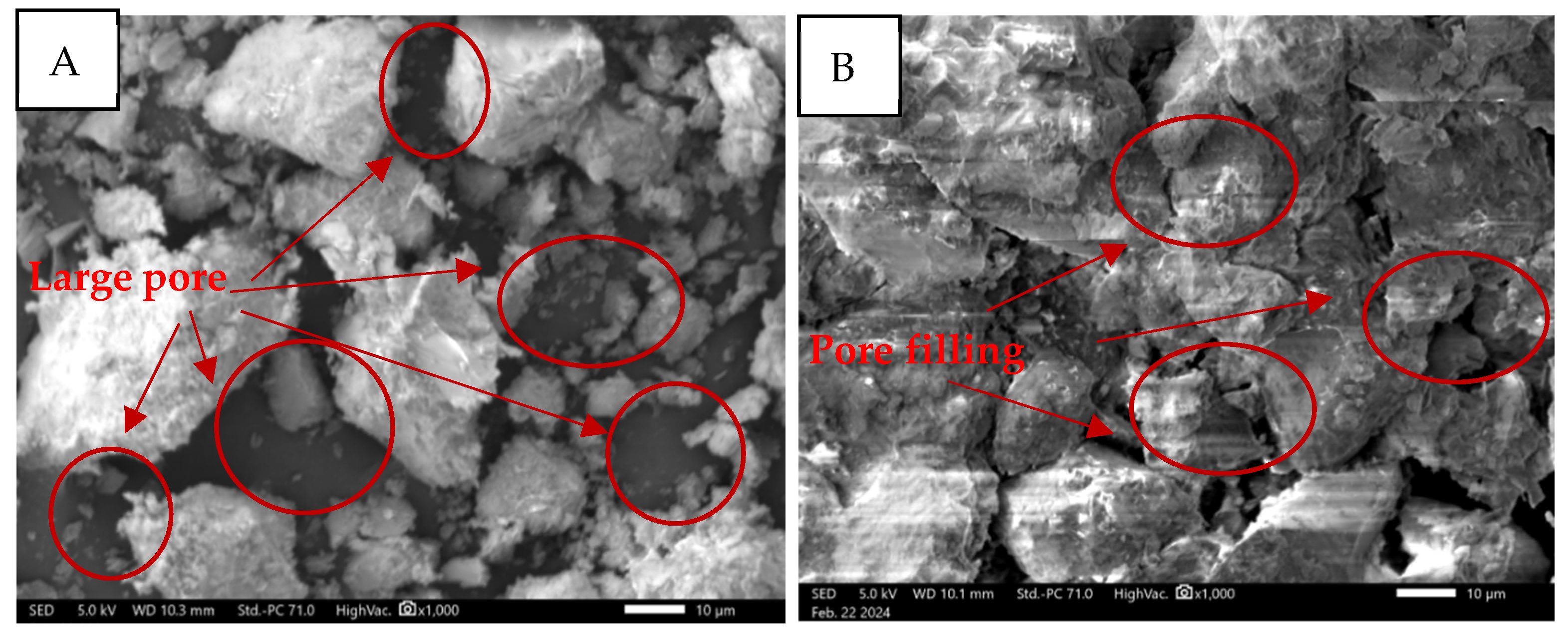 Coatings 14 00587 g008