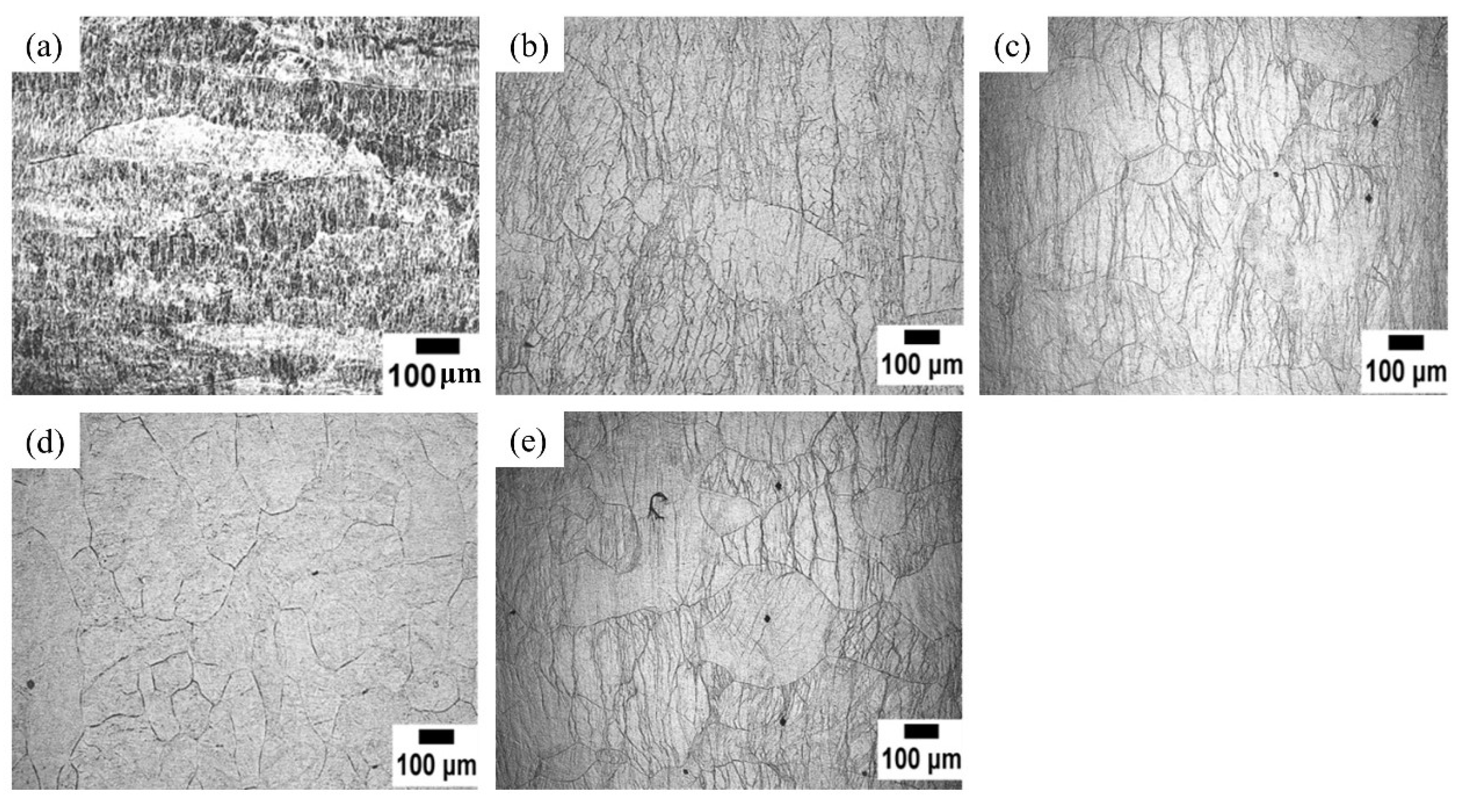 Coatings 14 00590 g002