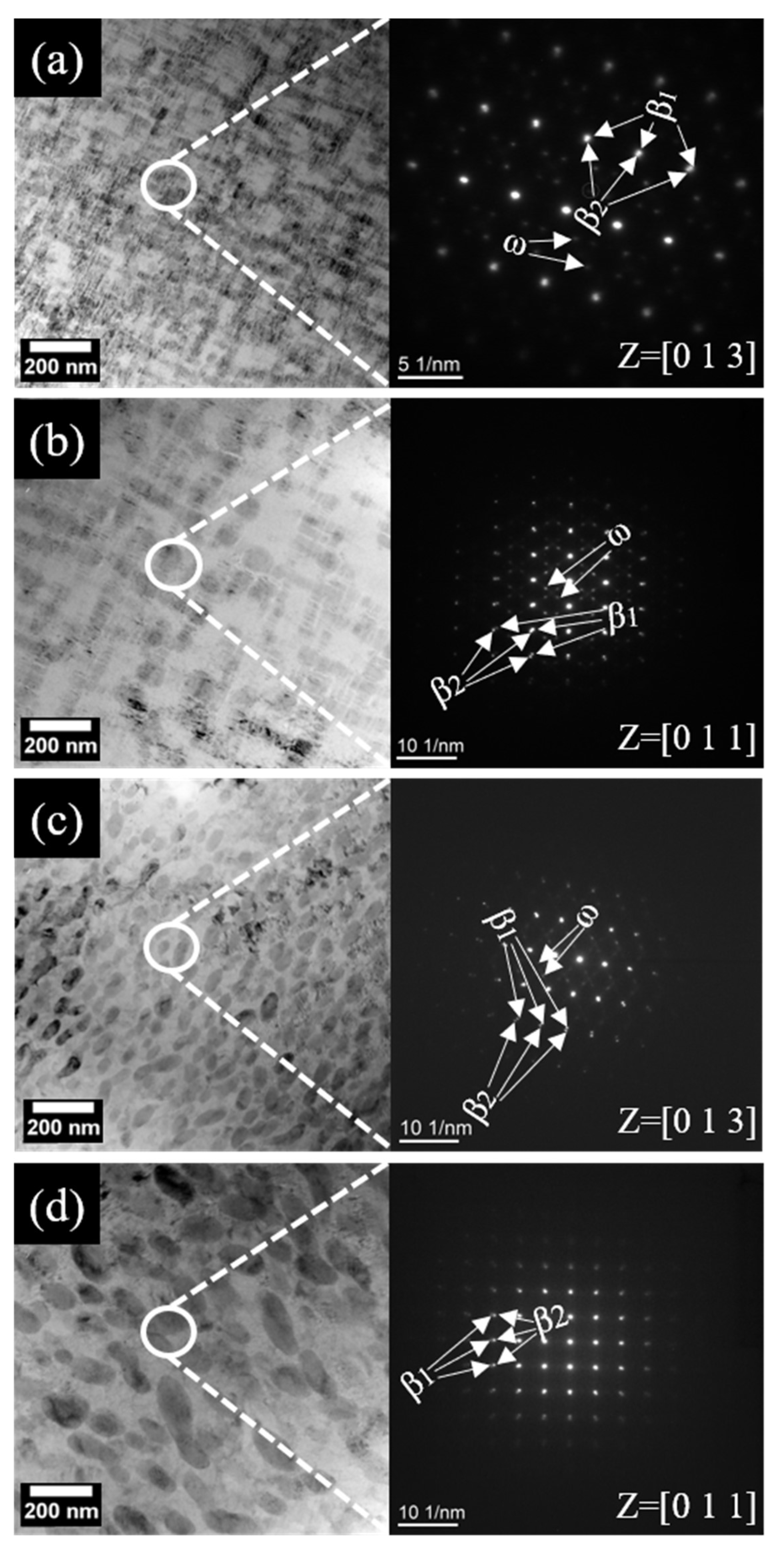 Coatings 14 00590 g004