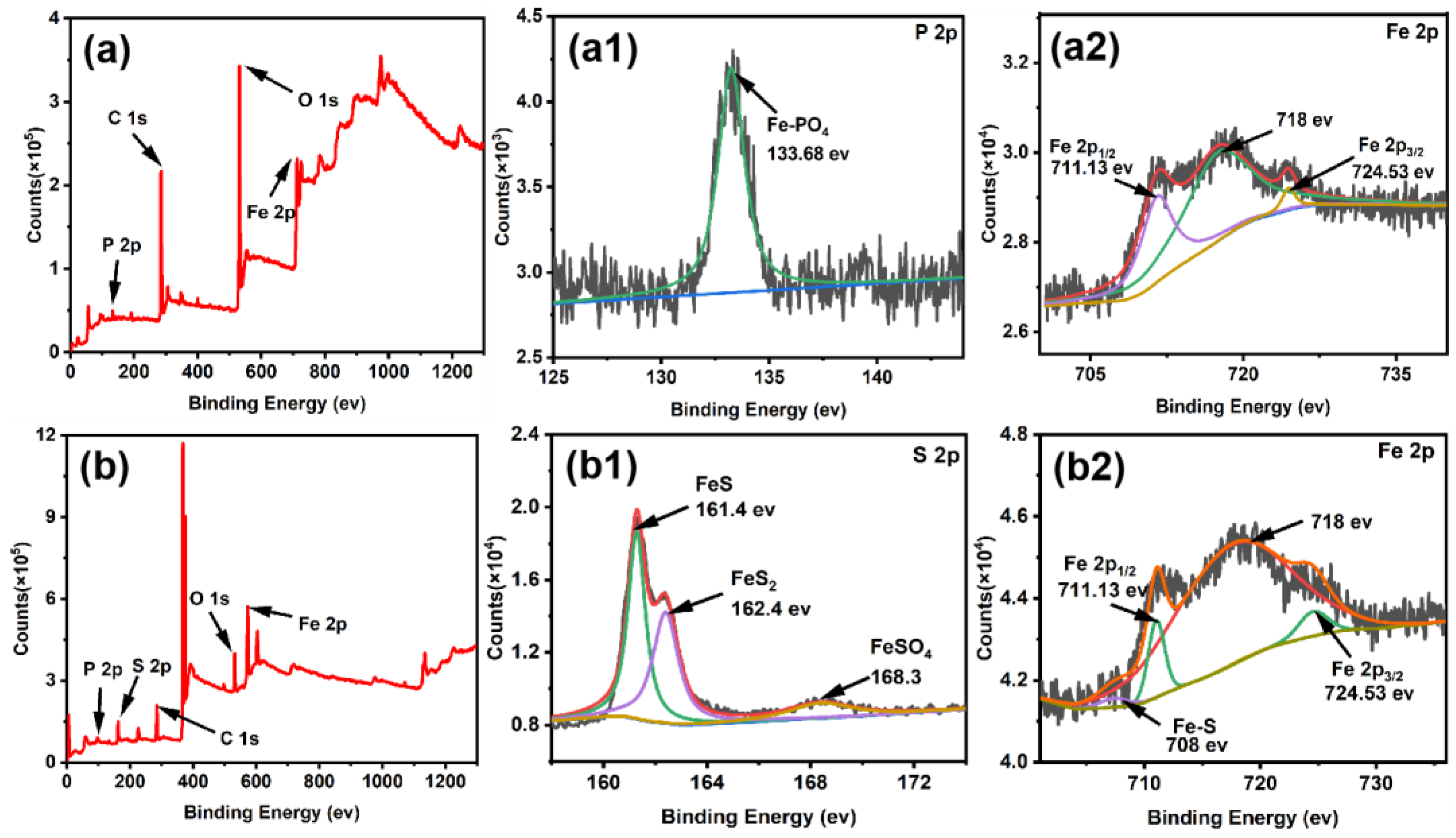 Coatings 14 00592 g005