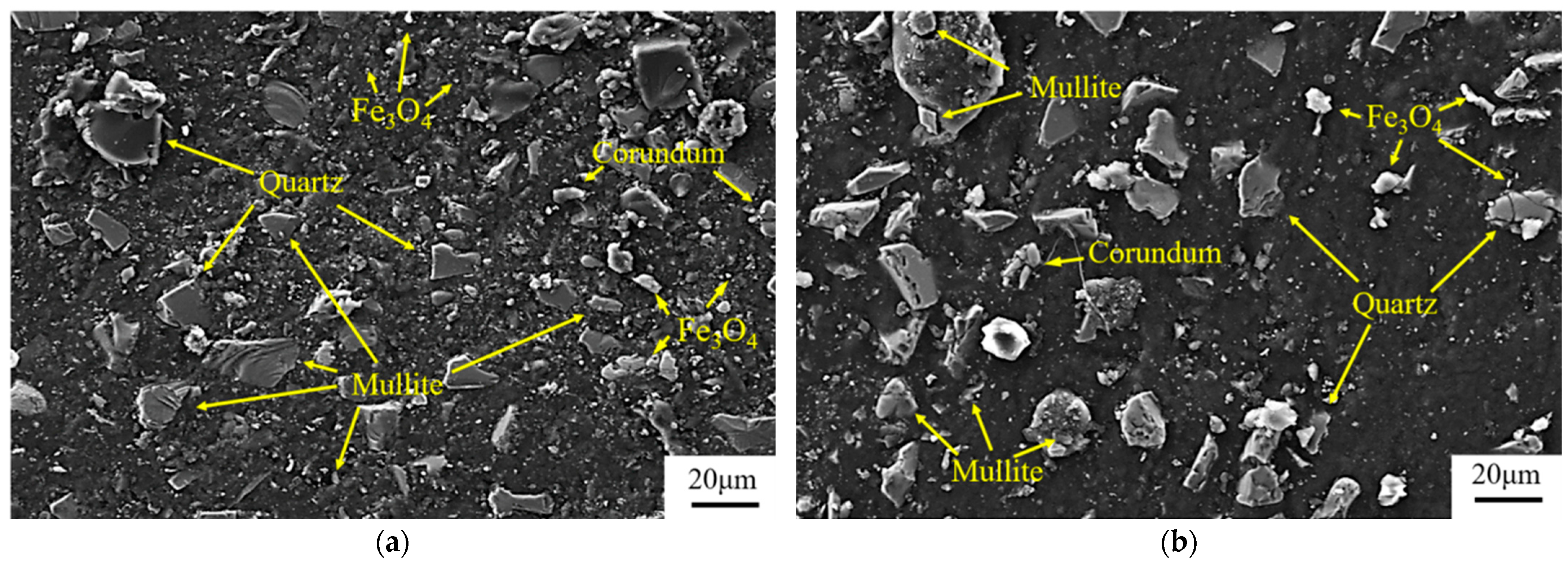 Coatings 14 00593 g005