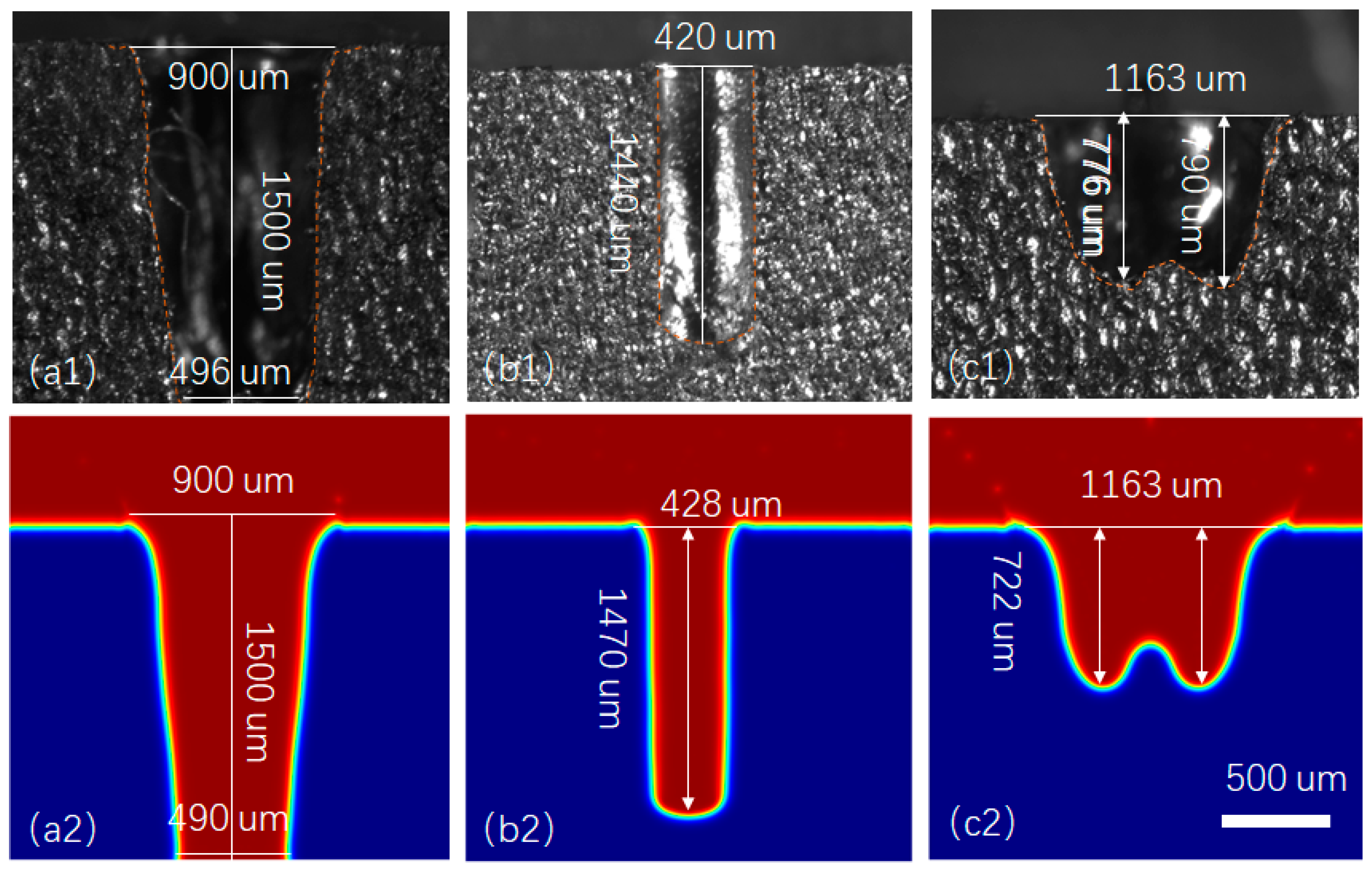 Coatings 14 00594 g003