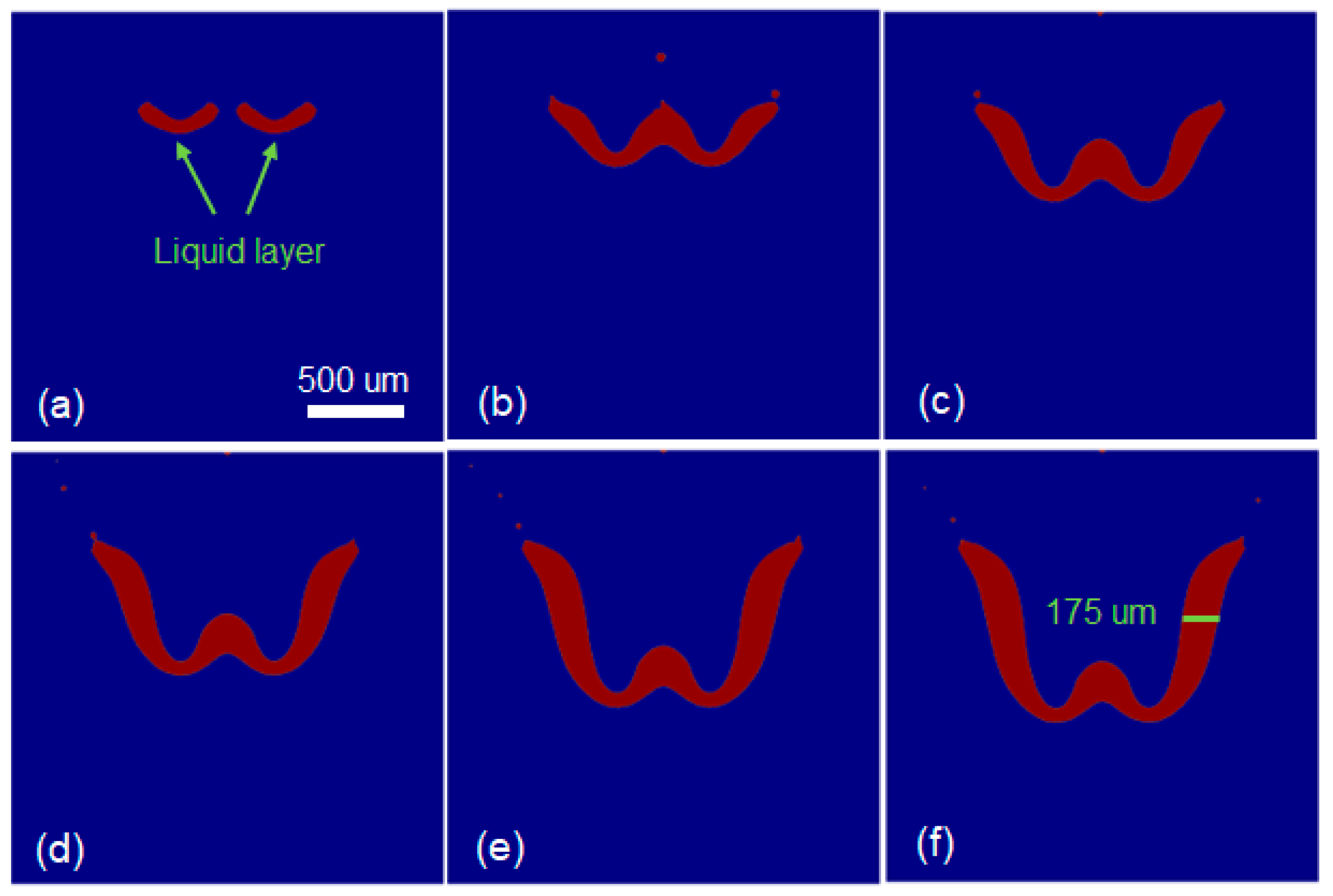 Coatings 14 00594 g015