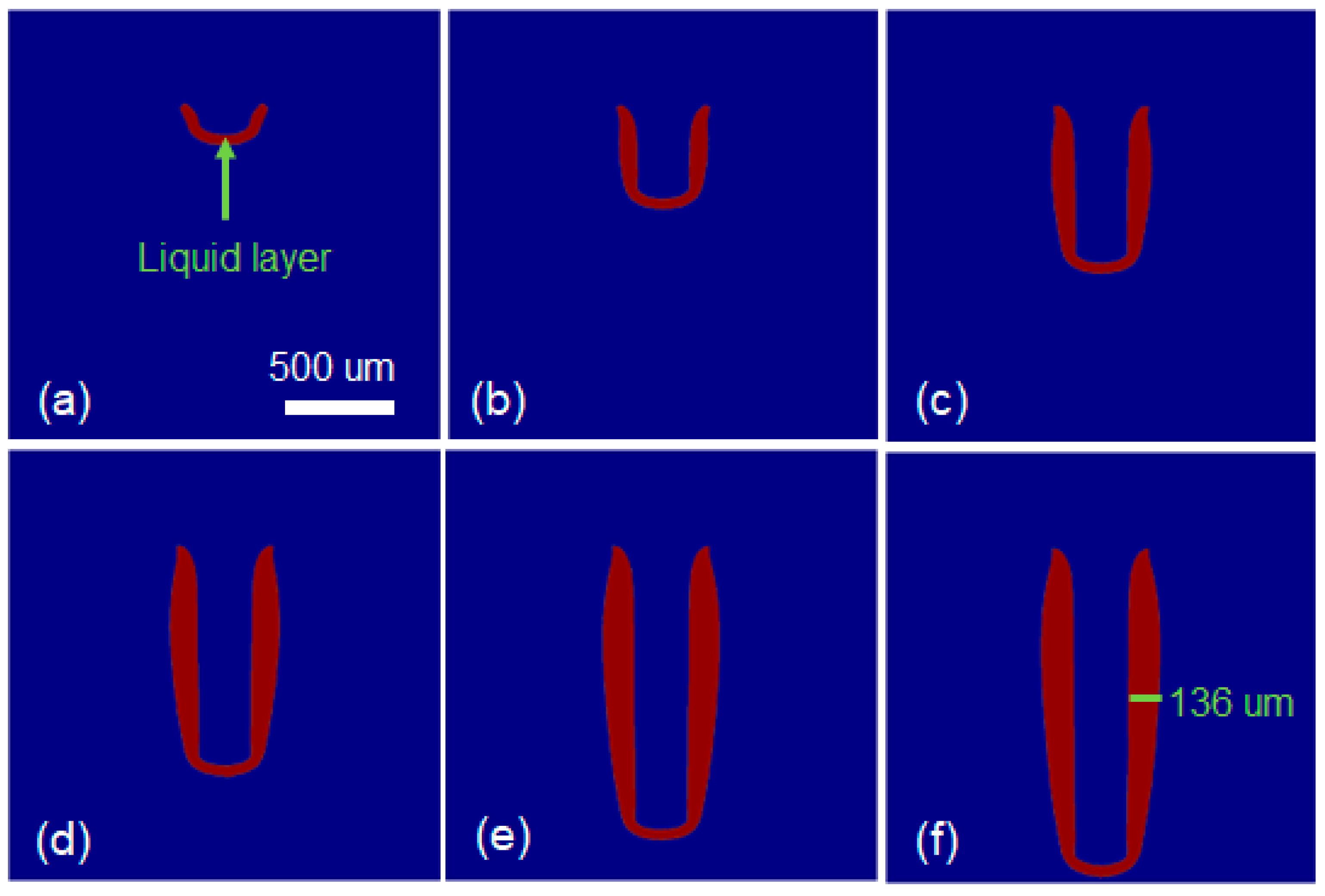Coatings 14 00594 g019