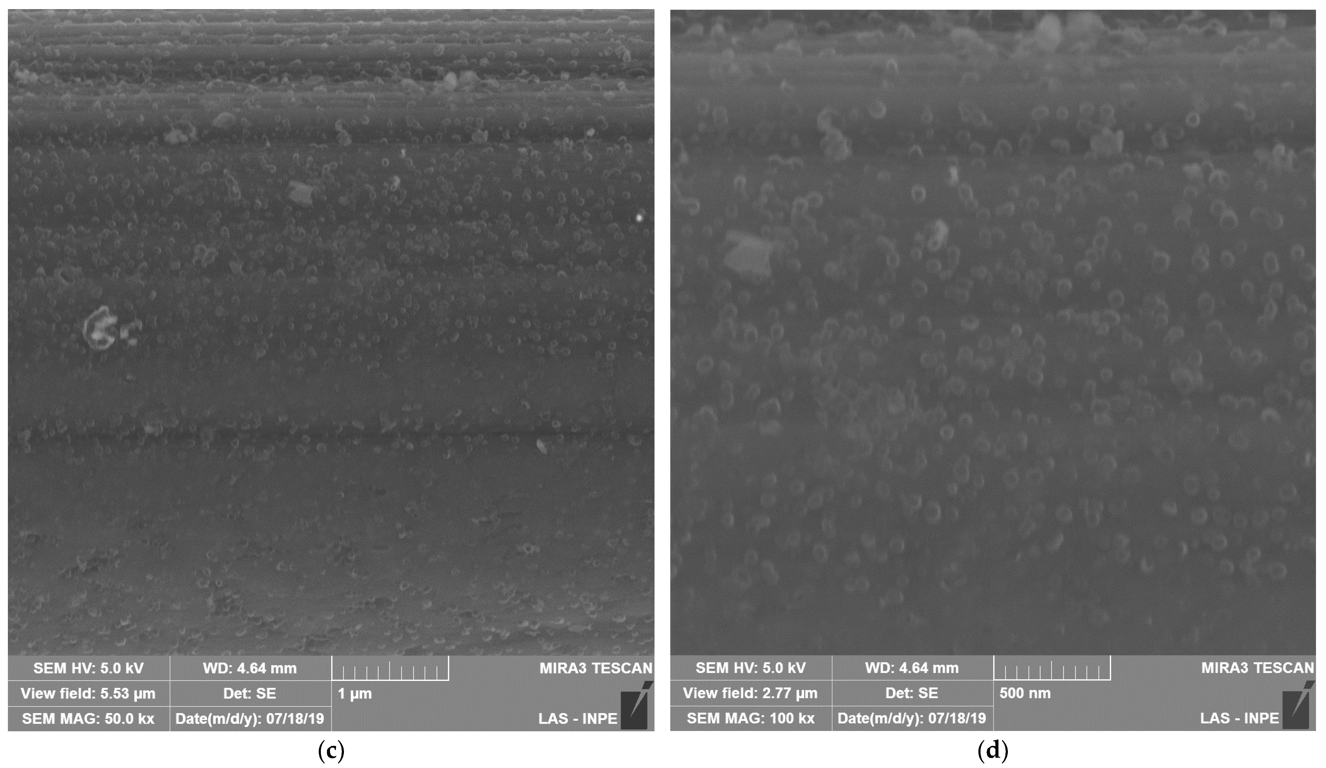 Coatings 14 00596 g002b