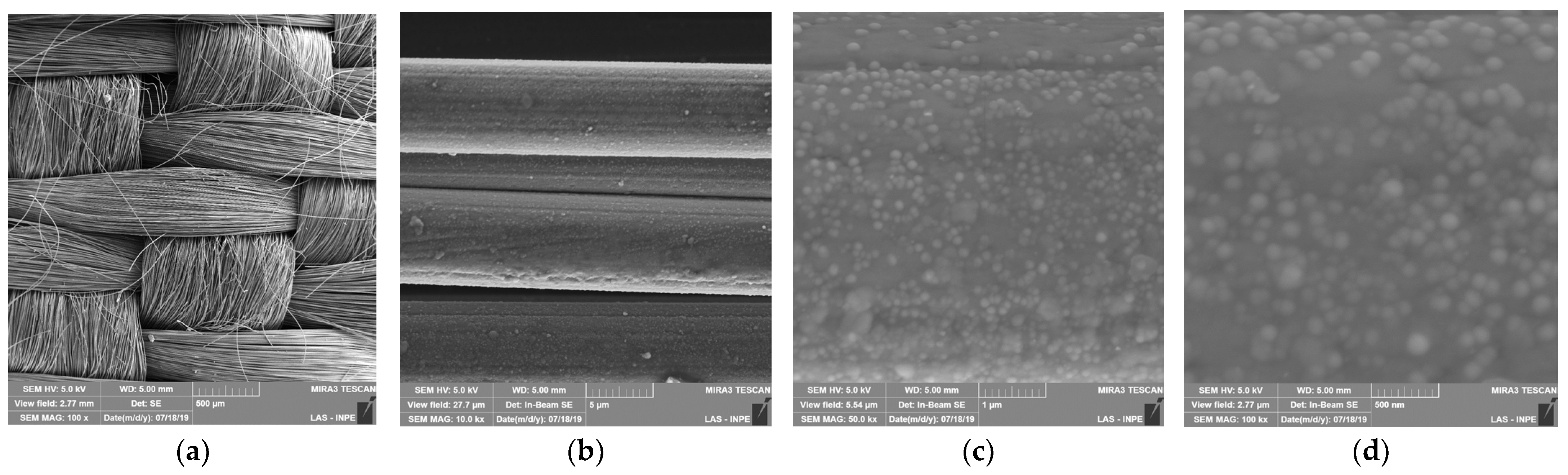 Coatings 14 00596 g003a