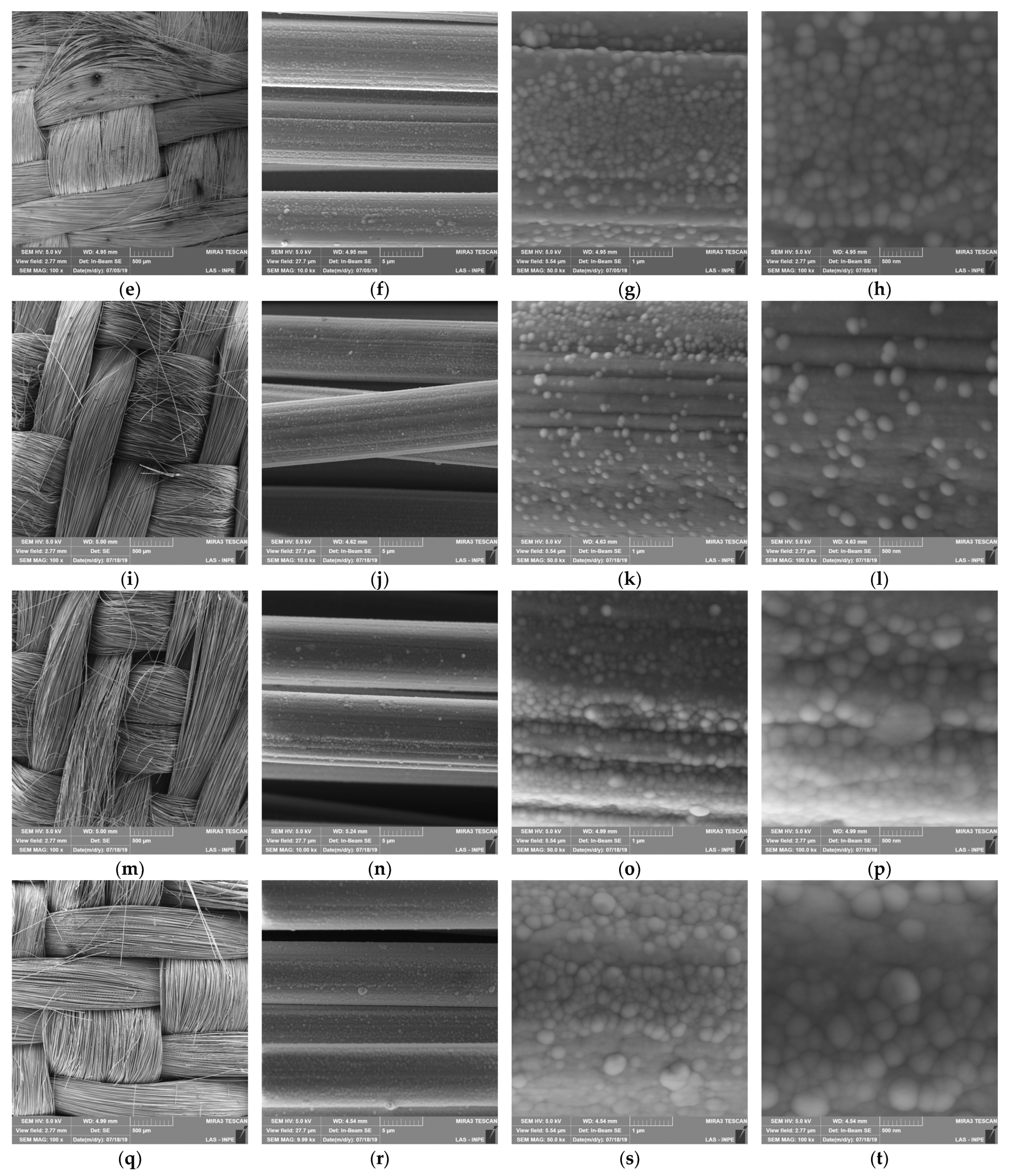 Coatings 14 00596 g003b