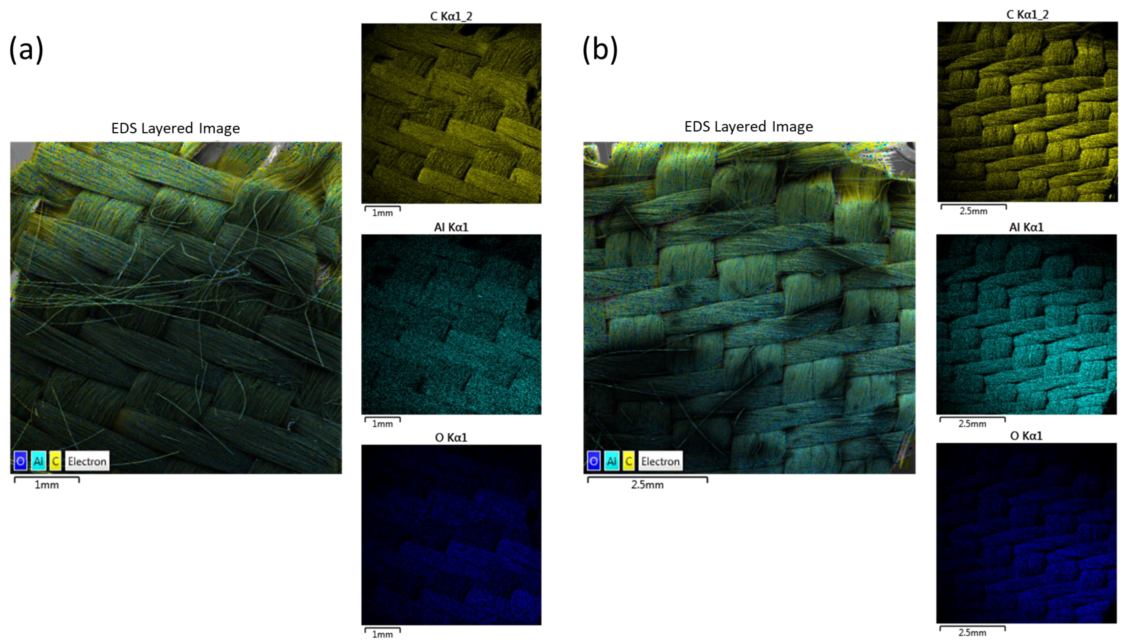 Coatings 14 00596 g004