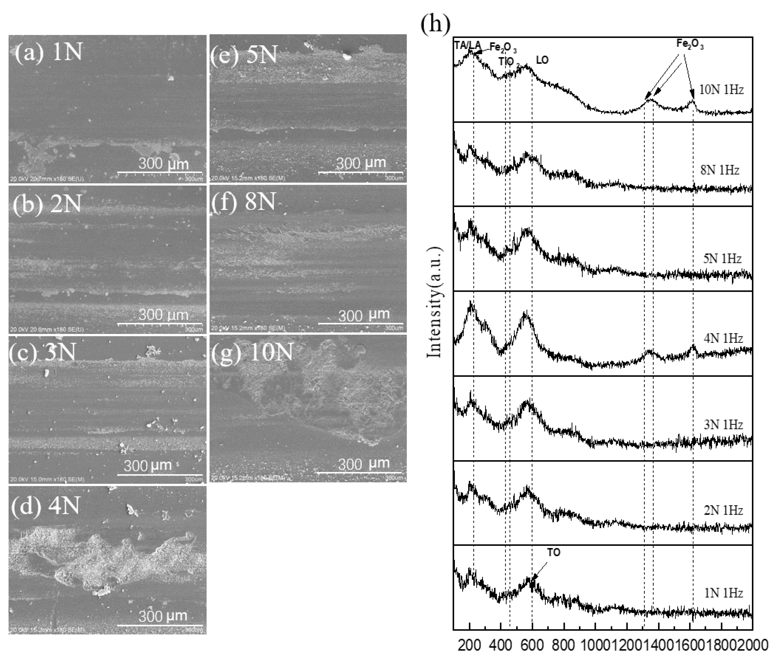 Coatings 14 00598 g008
