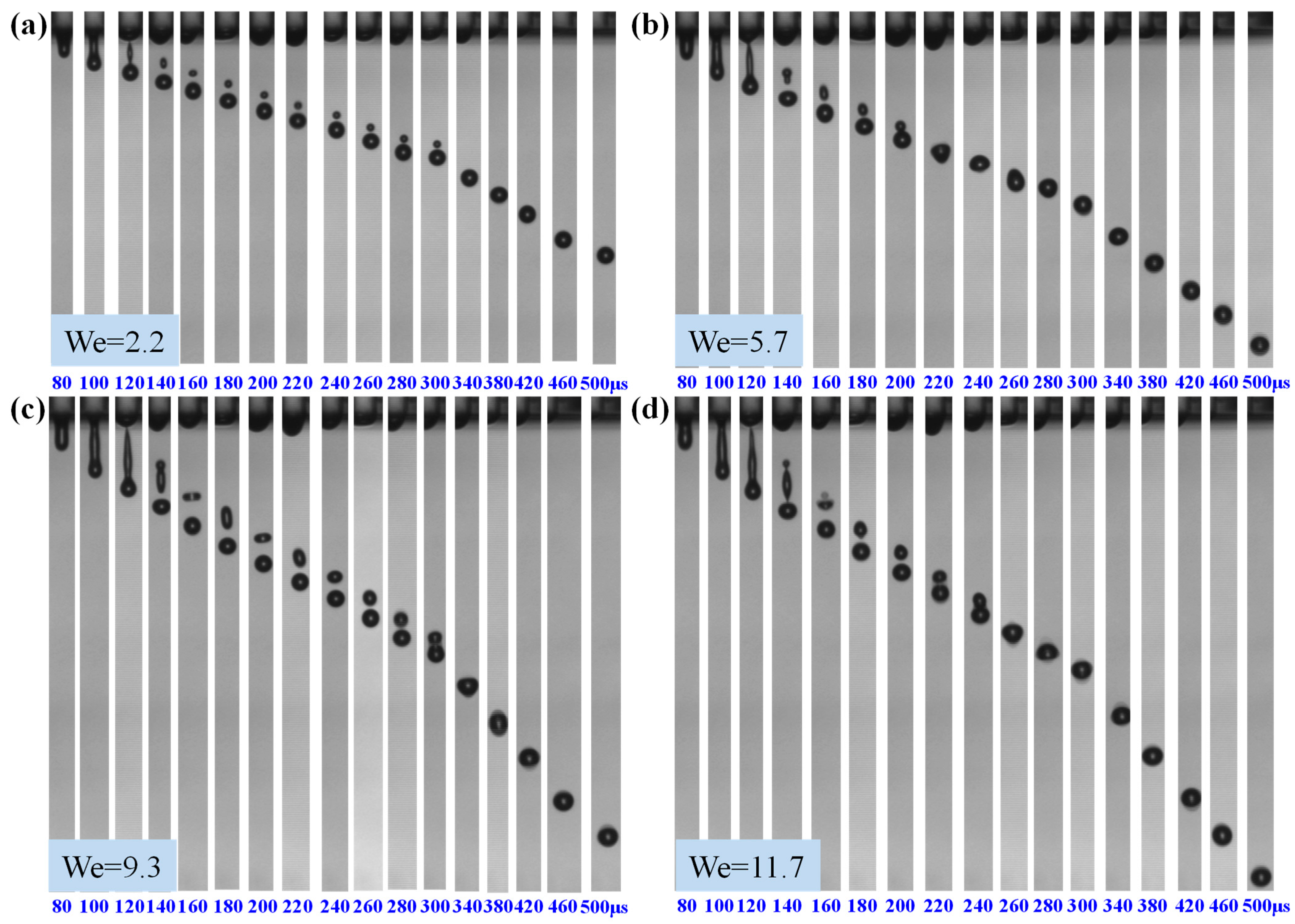 Coatings 14 00600 g002