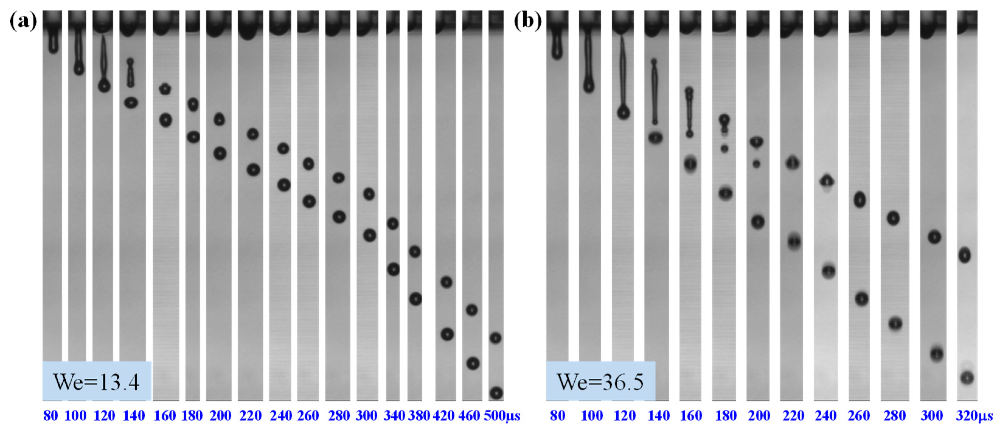 Coatings 14 00600 g004